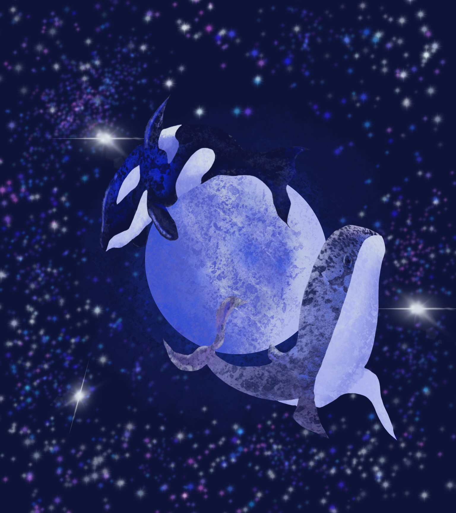 Whale Fun, Ty for the course it was easy to do and alot of fun - image 1 - student project