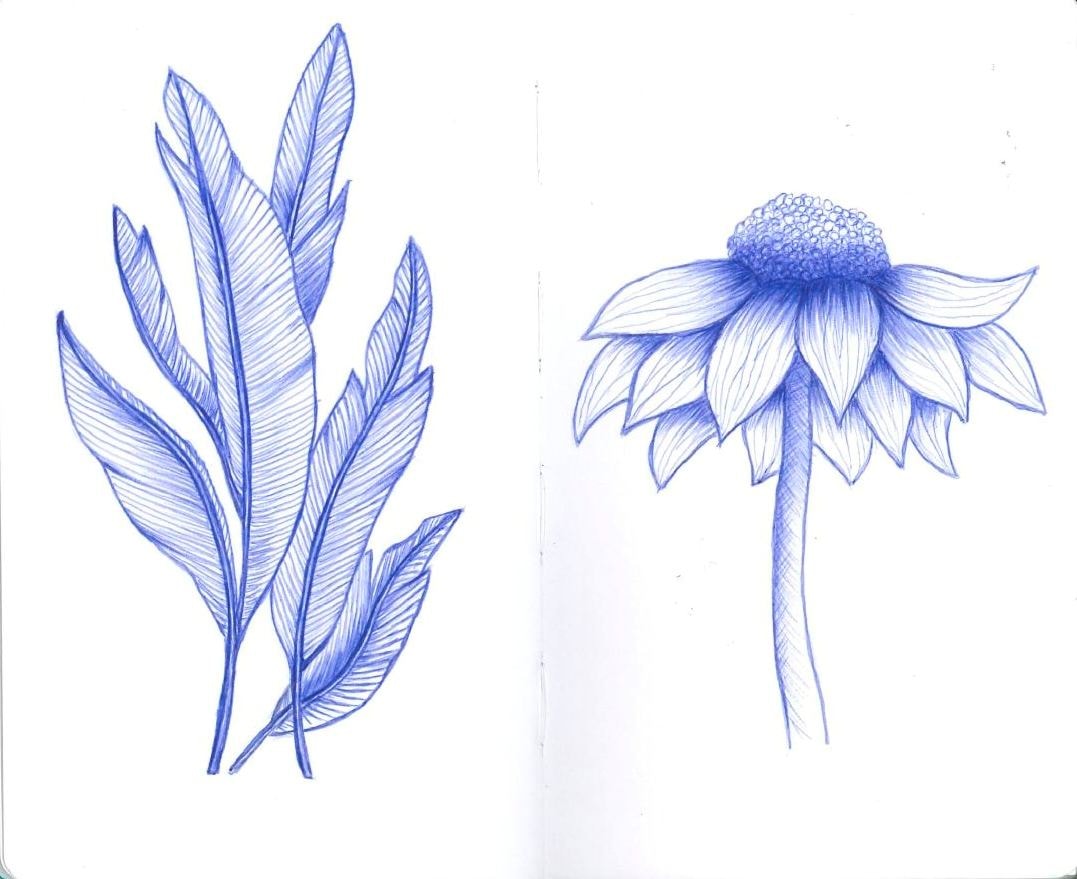 Pocket Sketchbook Projects - image 1 - student project