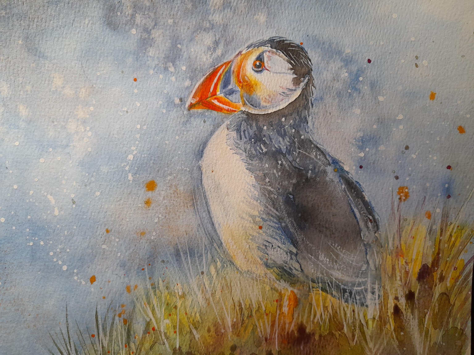 Puffin penguin - image 1 - student project