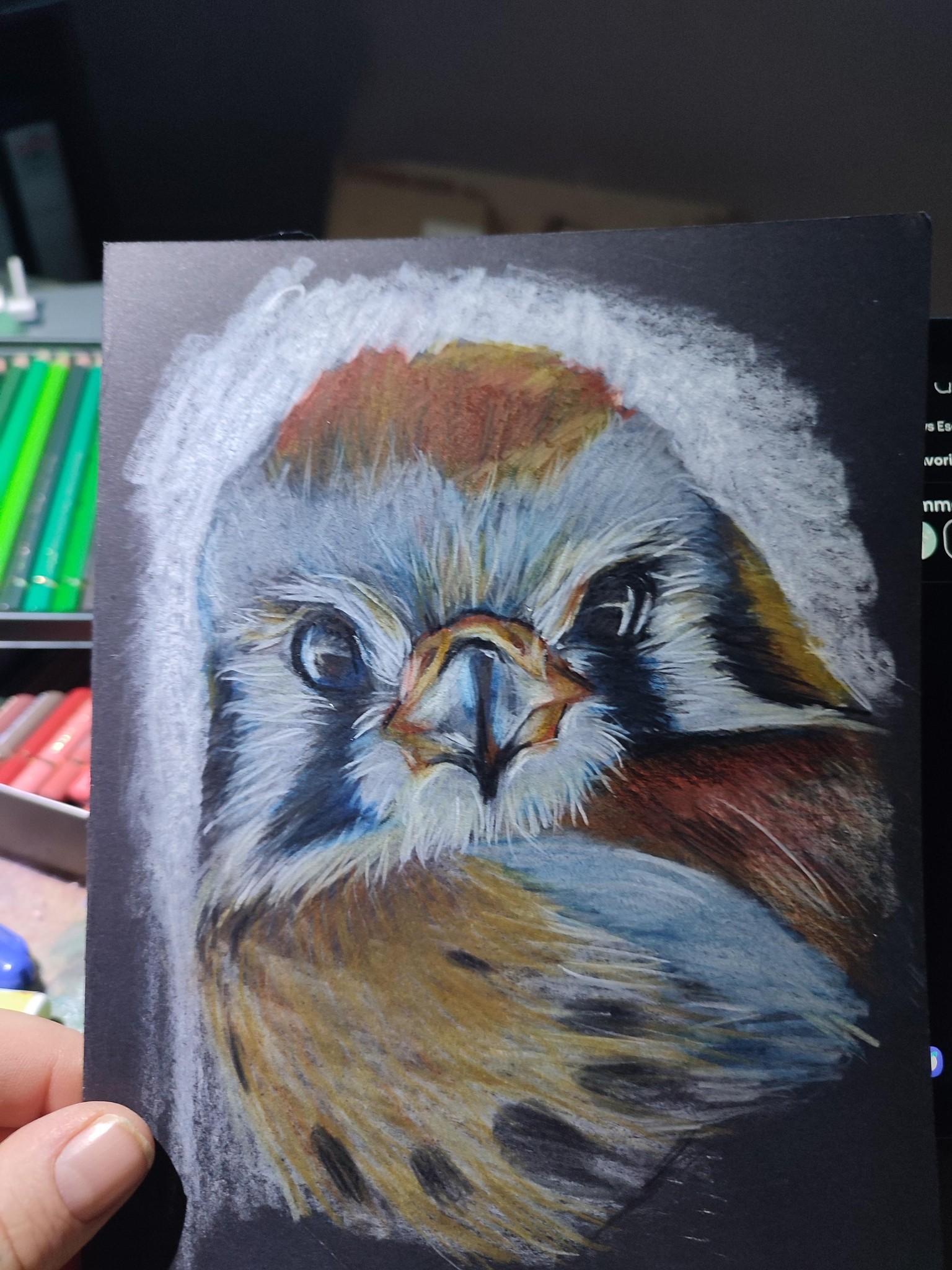 Color pencil 🐦 - image 1 - student project