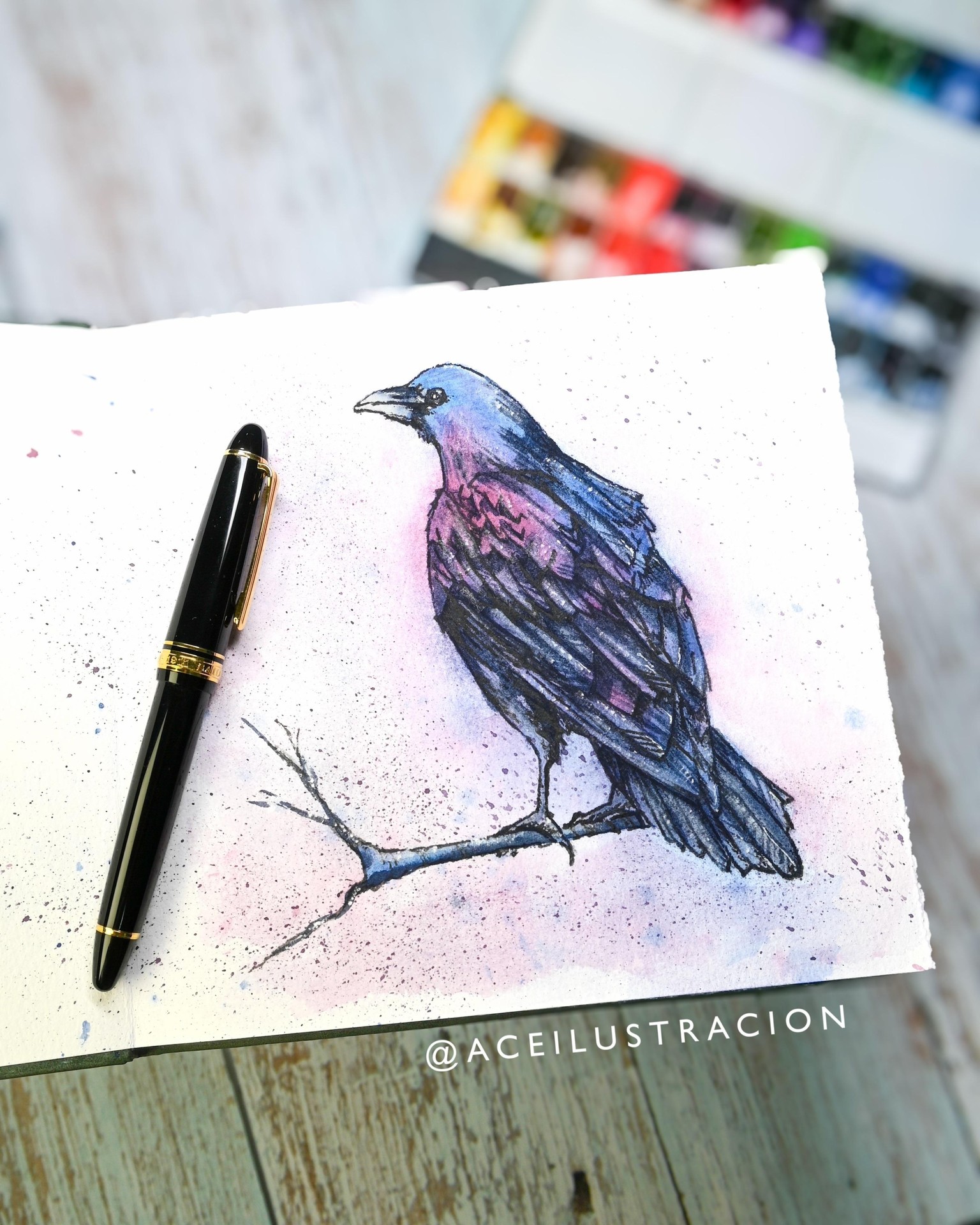 Raven - image 3 - student project