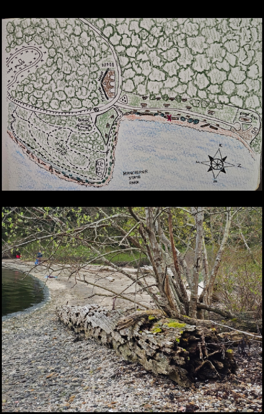 My local area - image 7 - student project