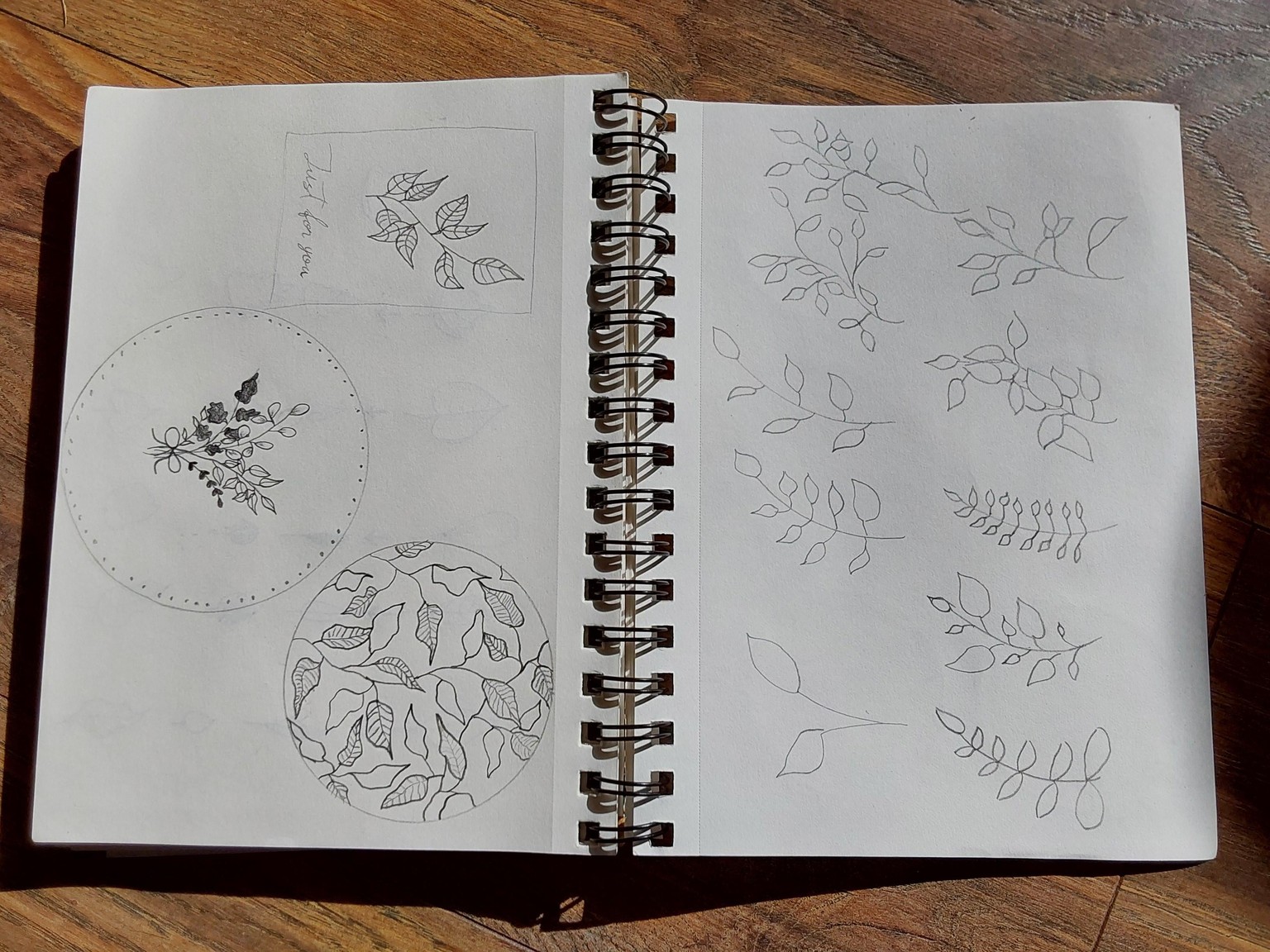 Lots of leaves - image 3 - student project