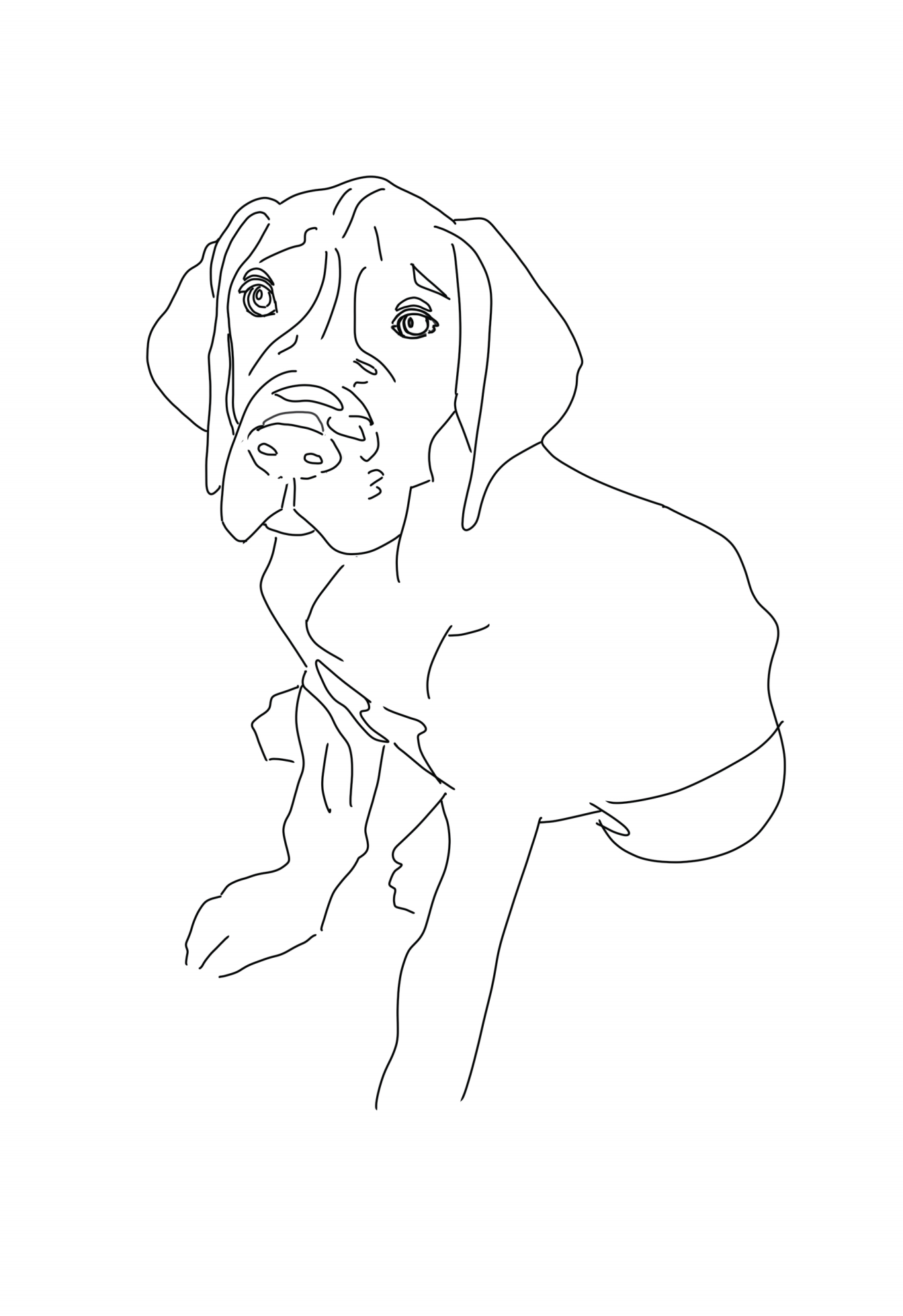 My pet sketches - image 1 - student project