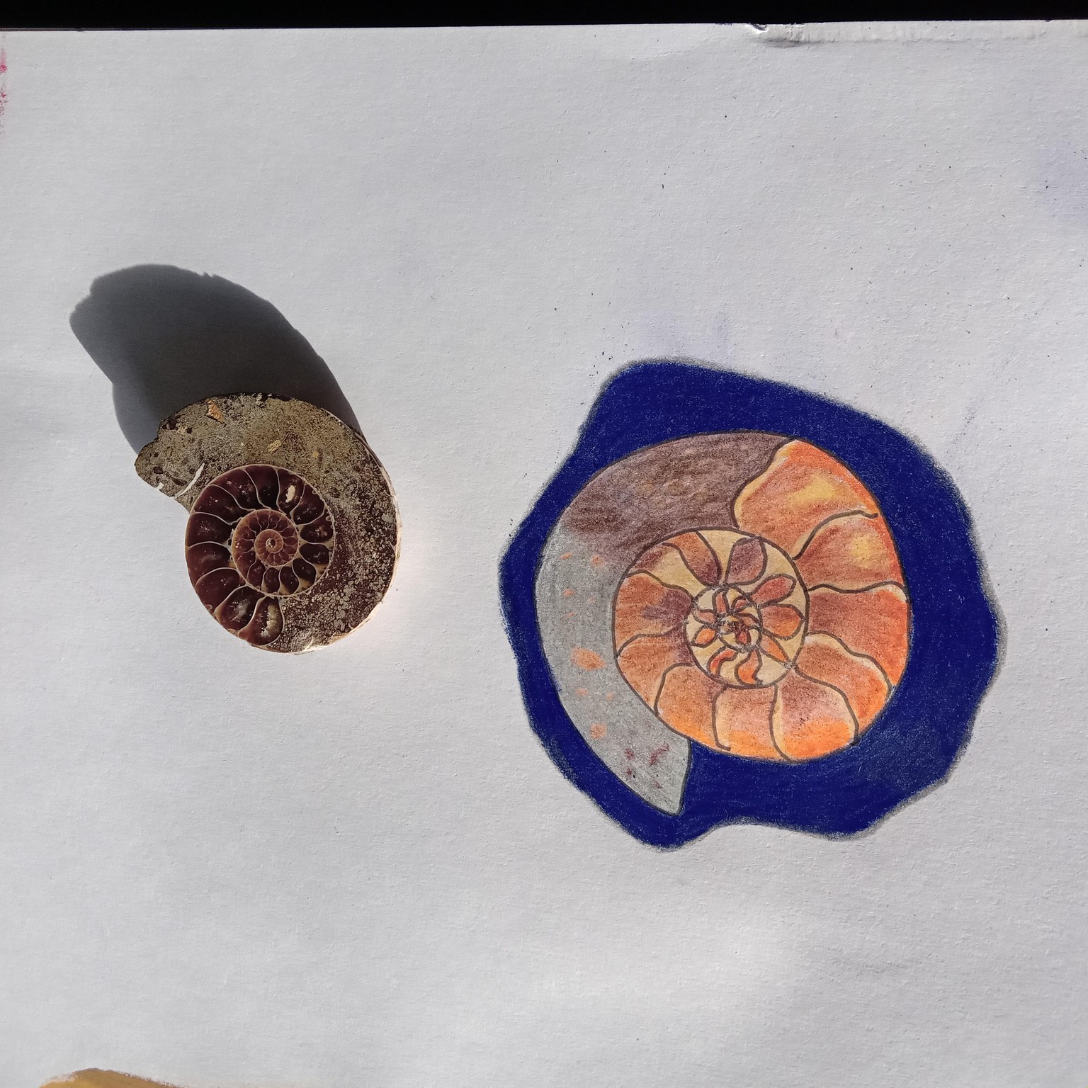 'flow' and 'Belonging' - image 1 - student project