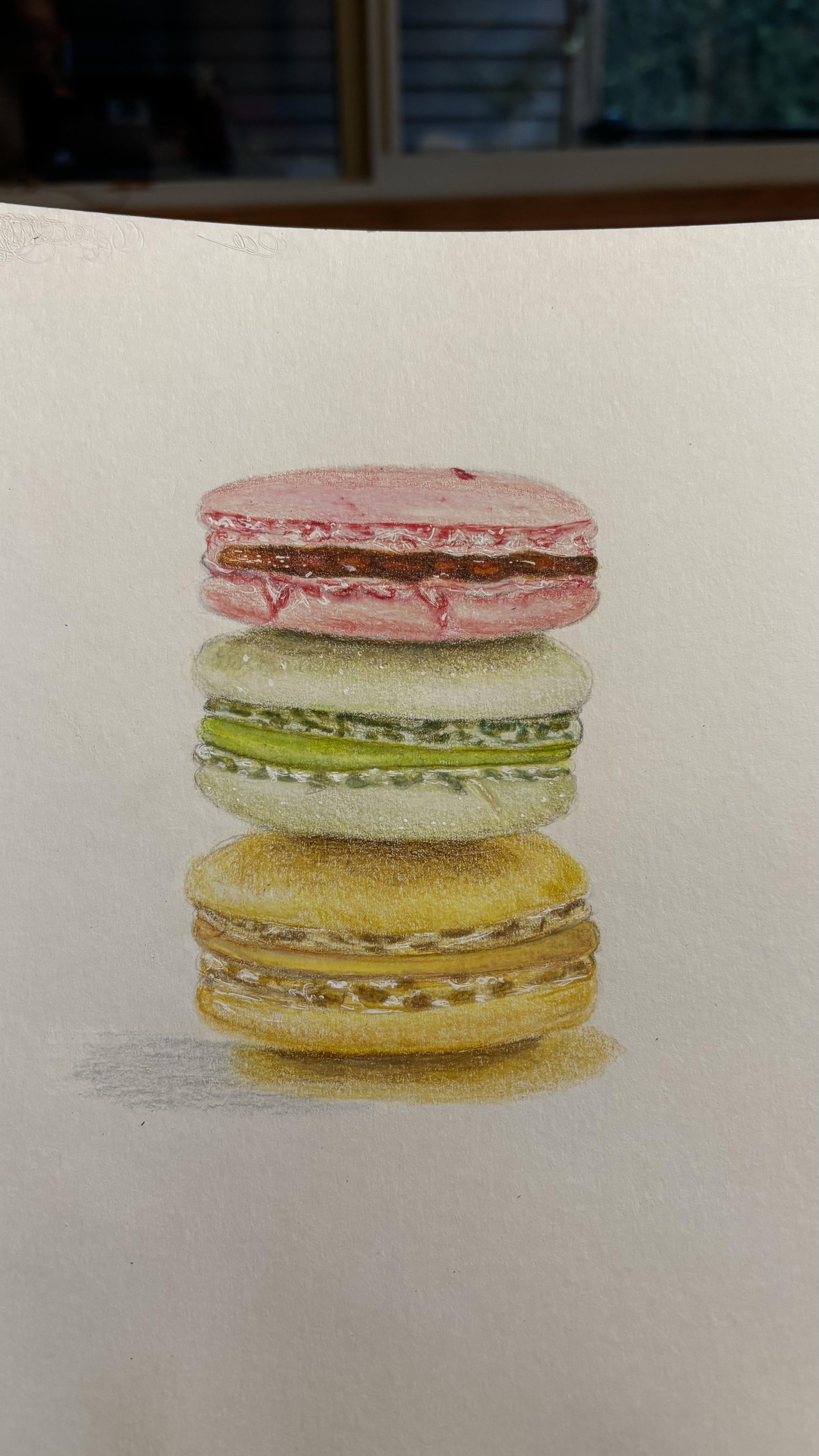 Macarons on Bristol Vellum - image 1 - student project