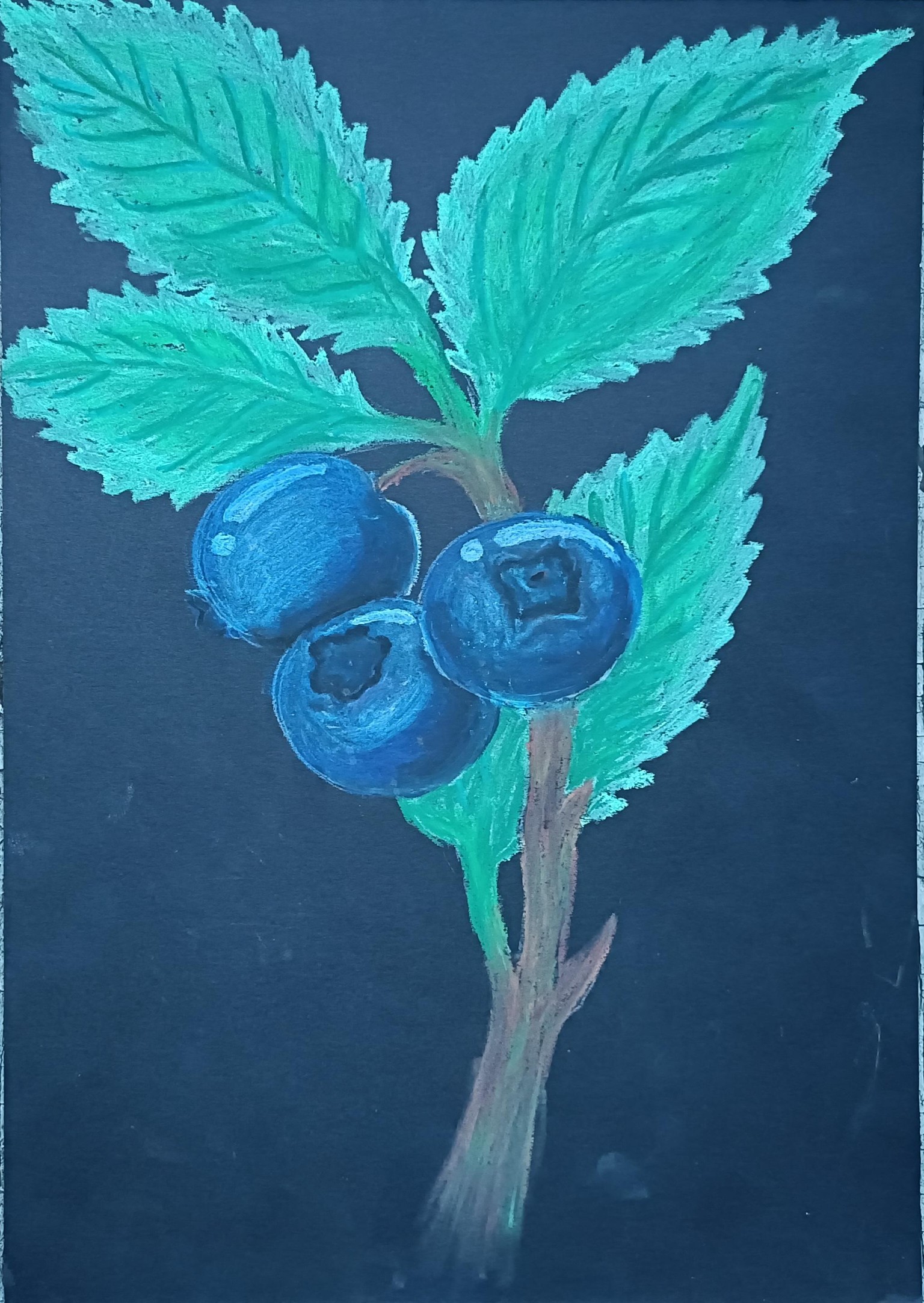 Blueberry branches - image 8 - student project
