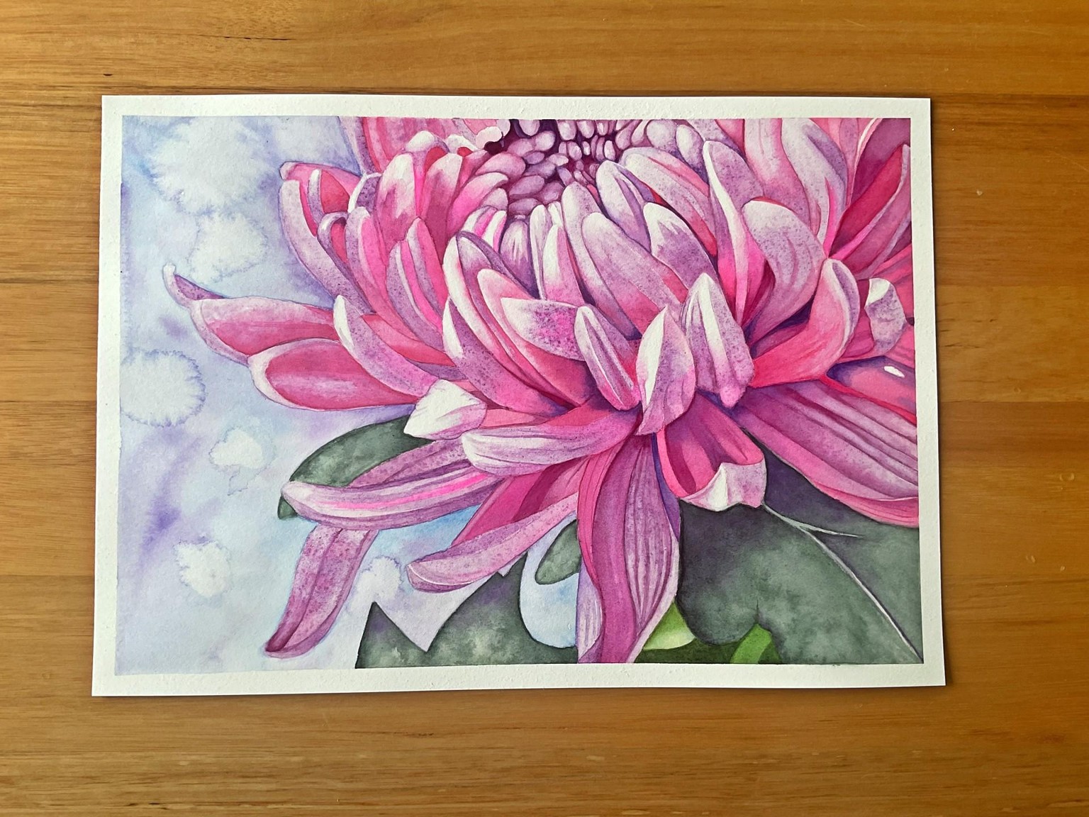 Chrysanthemum - image 1 - student project