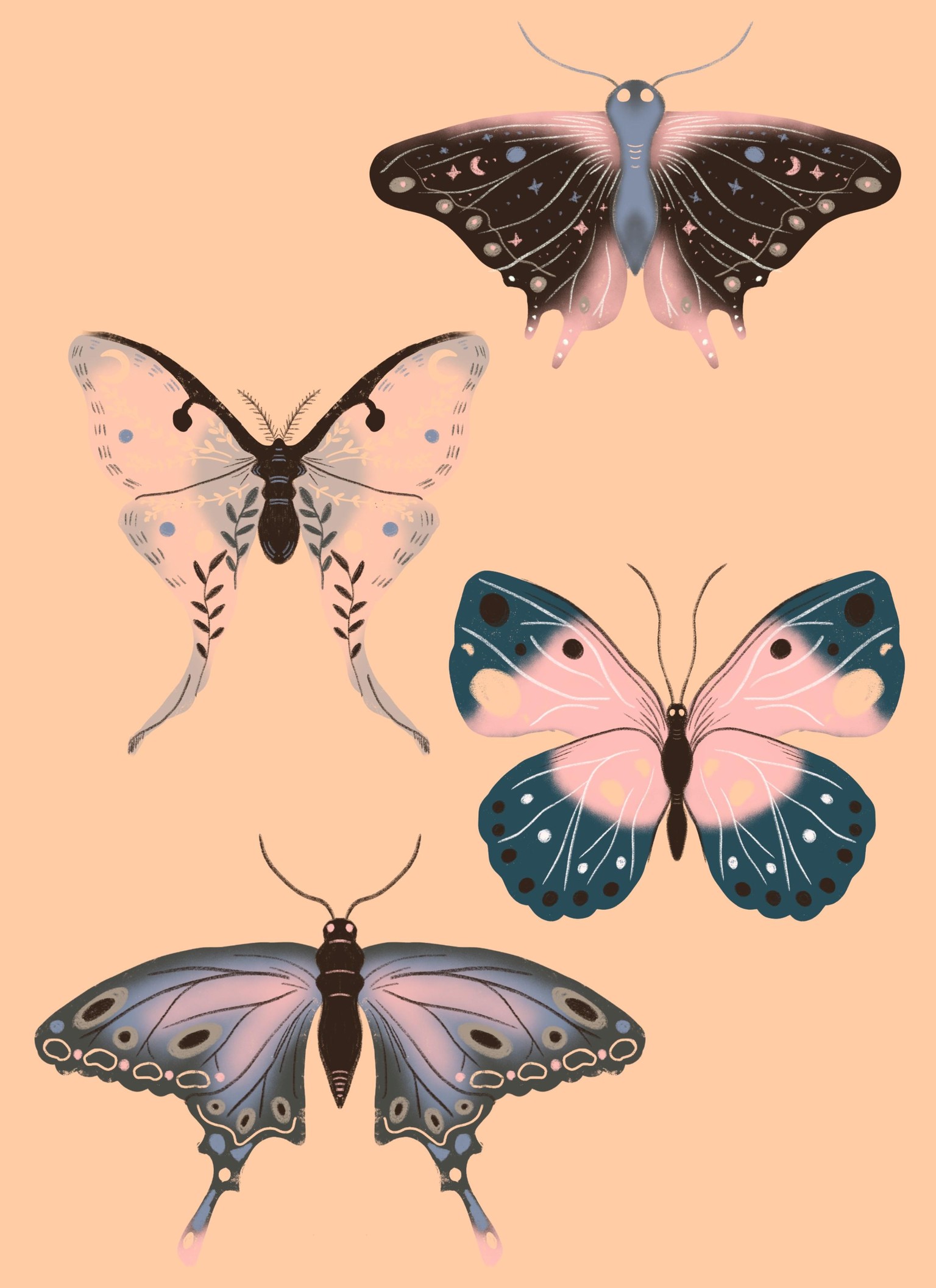 My Butterfly Gallery - image 1 - student project