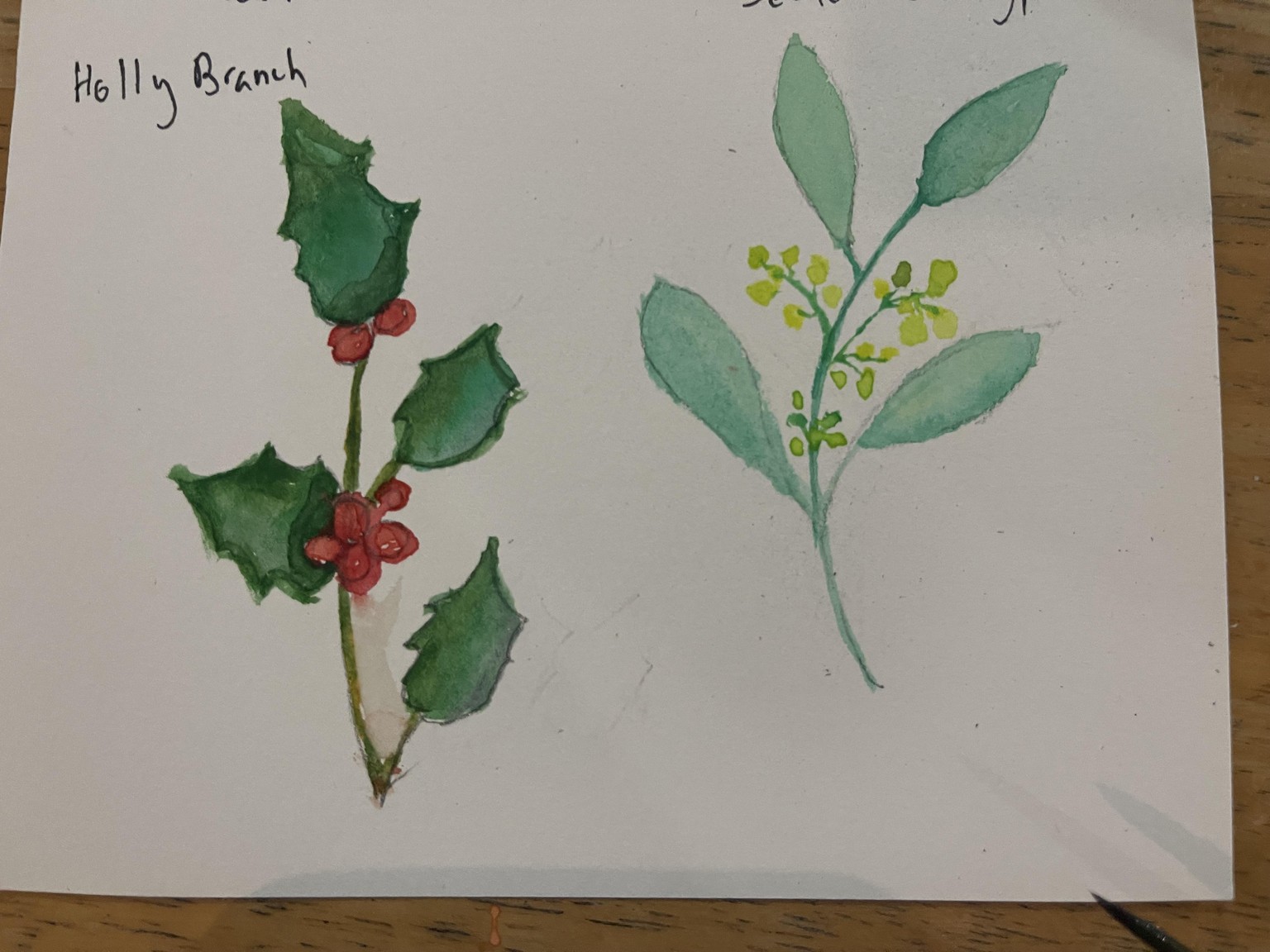 Winter Greenery - image 2 - student project