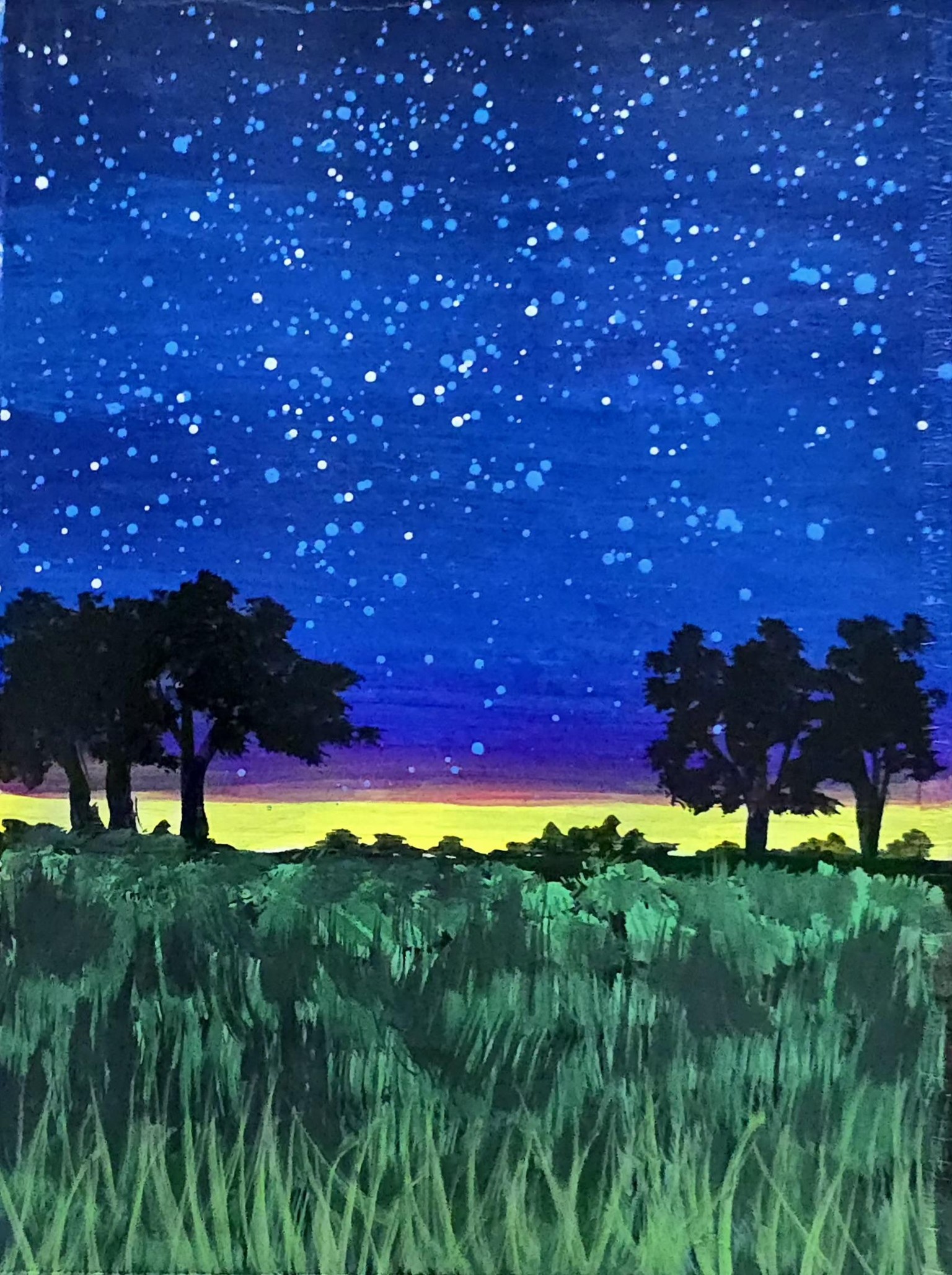 Acrylic landscapes - image 10 - student project