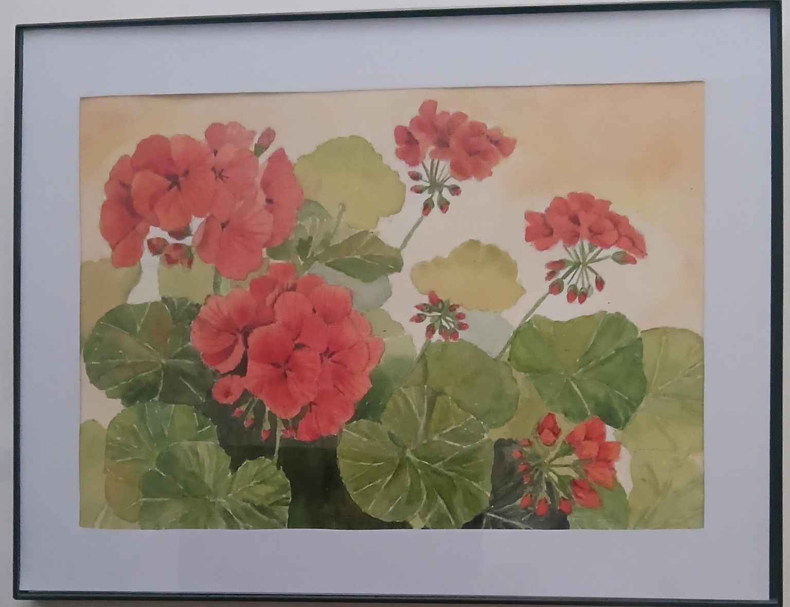 Red Geraniums - image 1 - student project