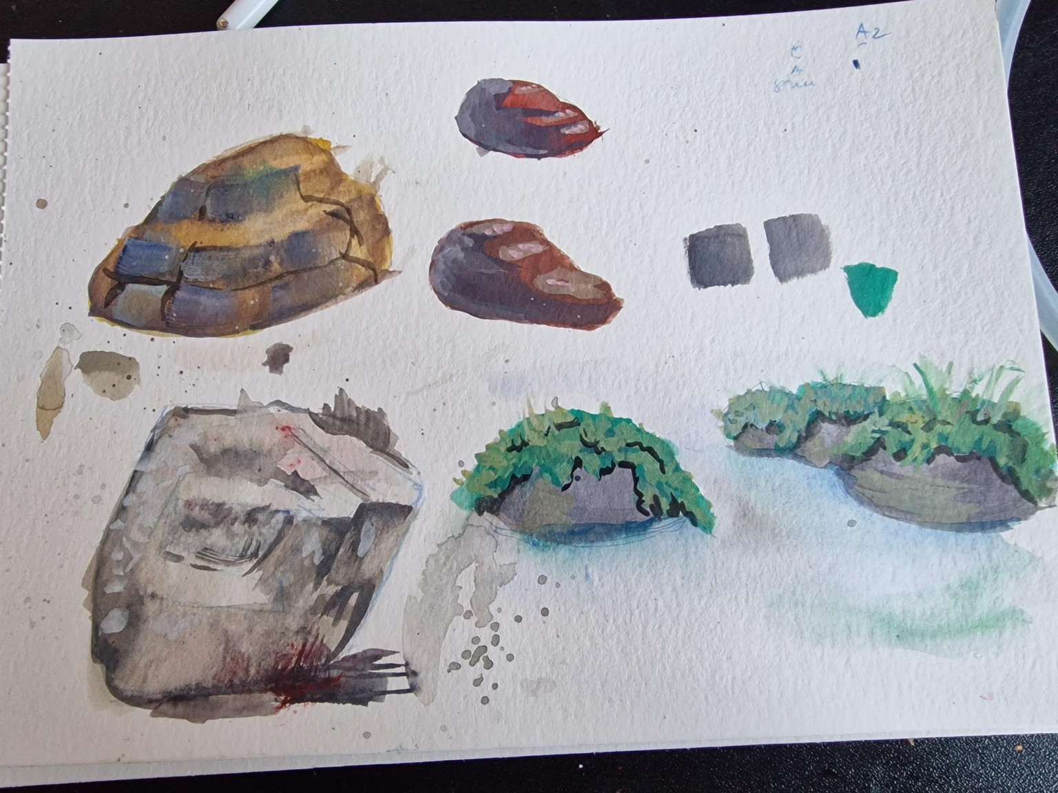 Painting some rocks - image 3 - student project