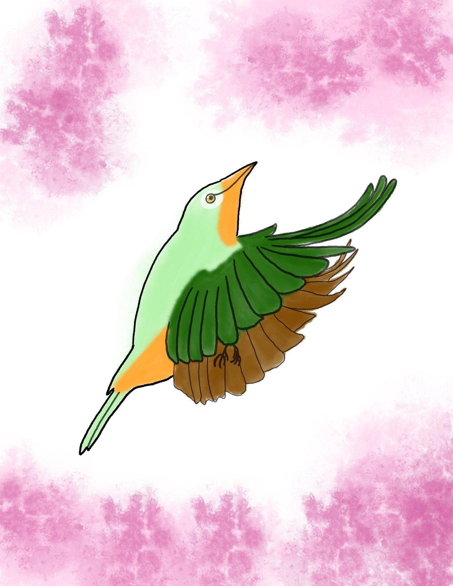 Birds! - image 2 - student project