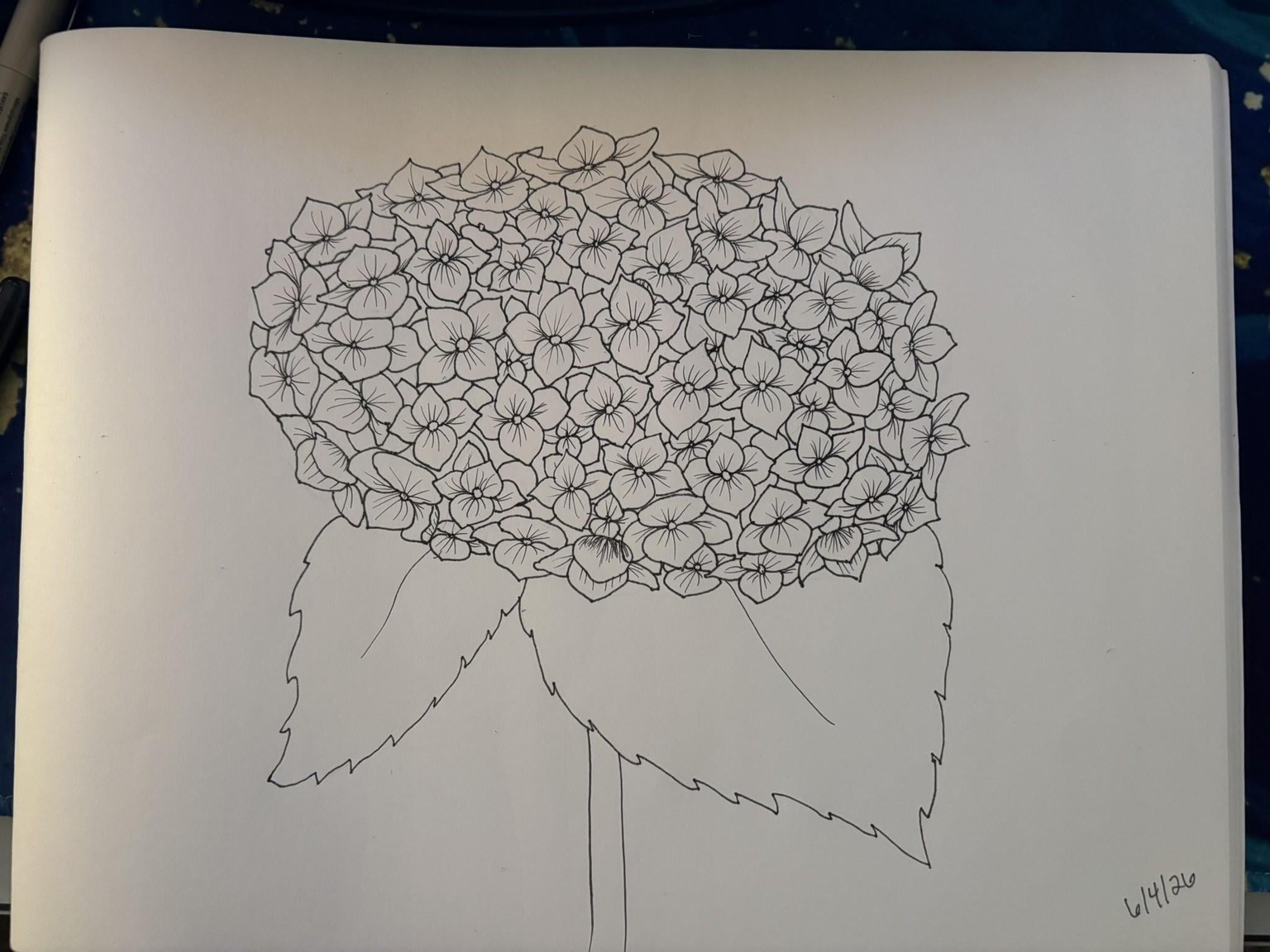 Flower Drawings - image 9 - student project