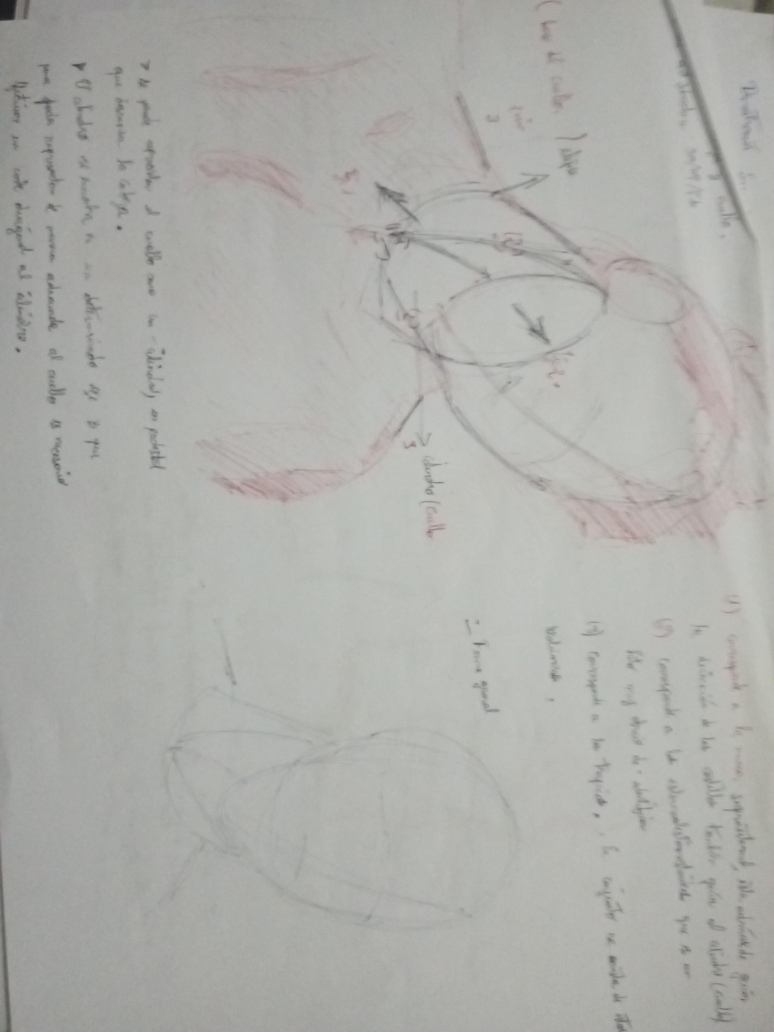 Volumen and structure - image 13 - student project