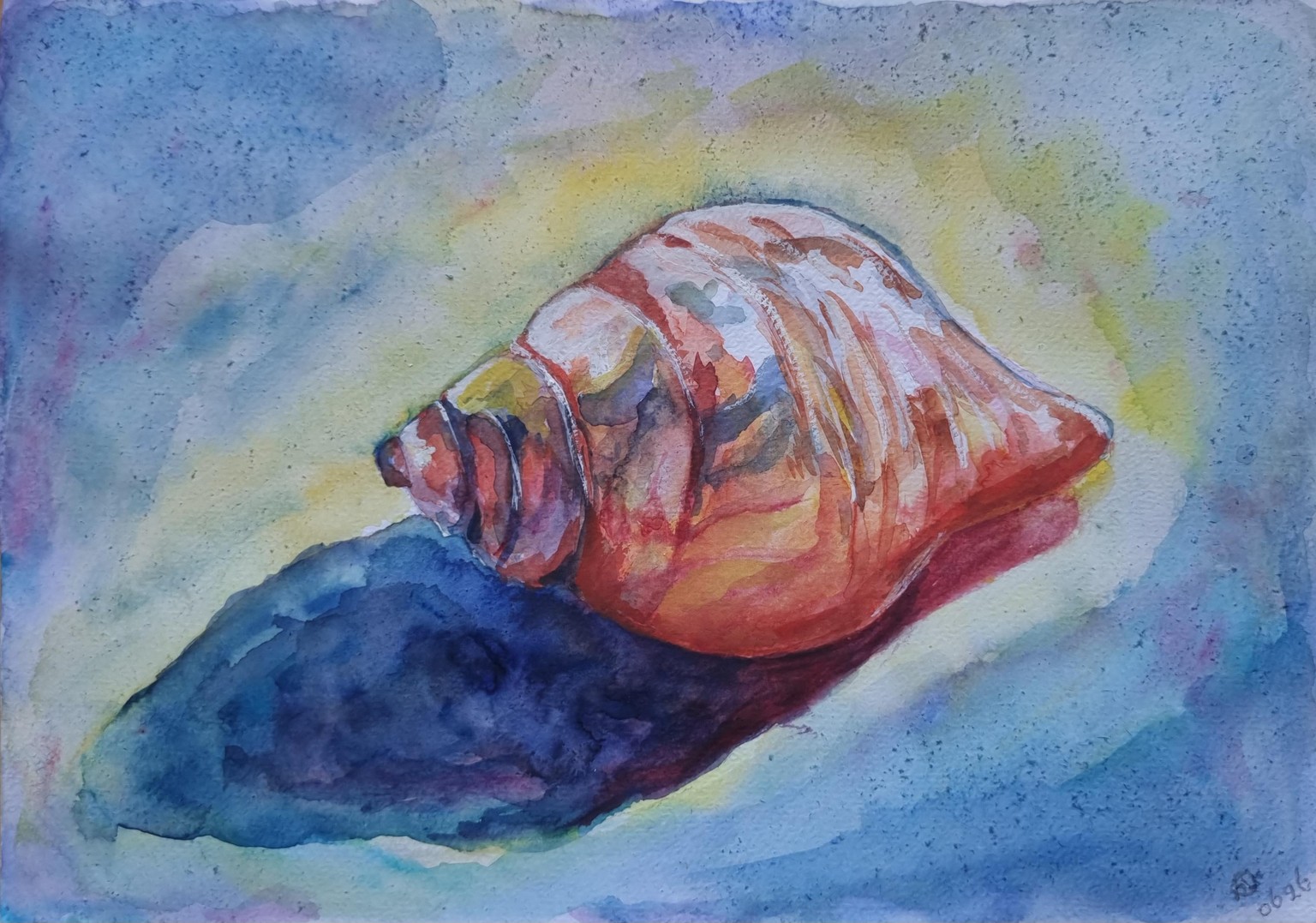 Mijn schelp - image 1 - student project