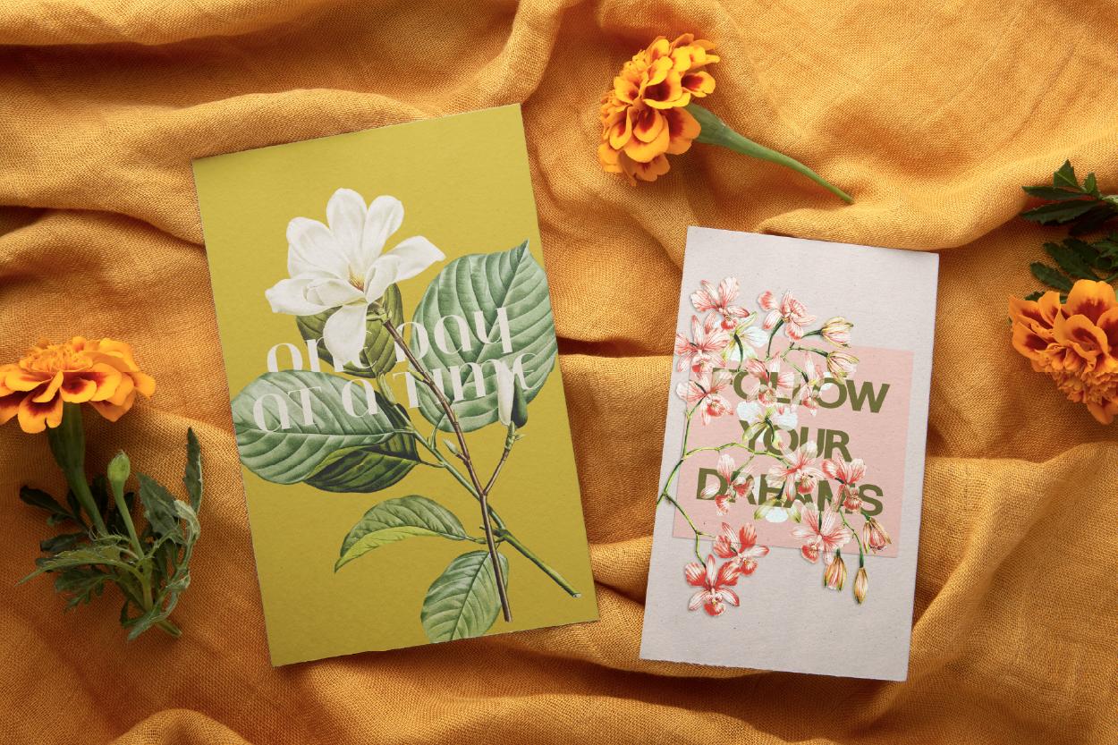 Botanical Greeting Cards - image 8 - student project
