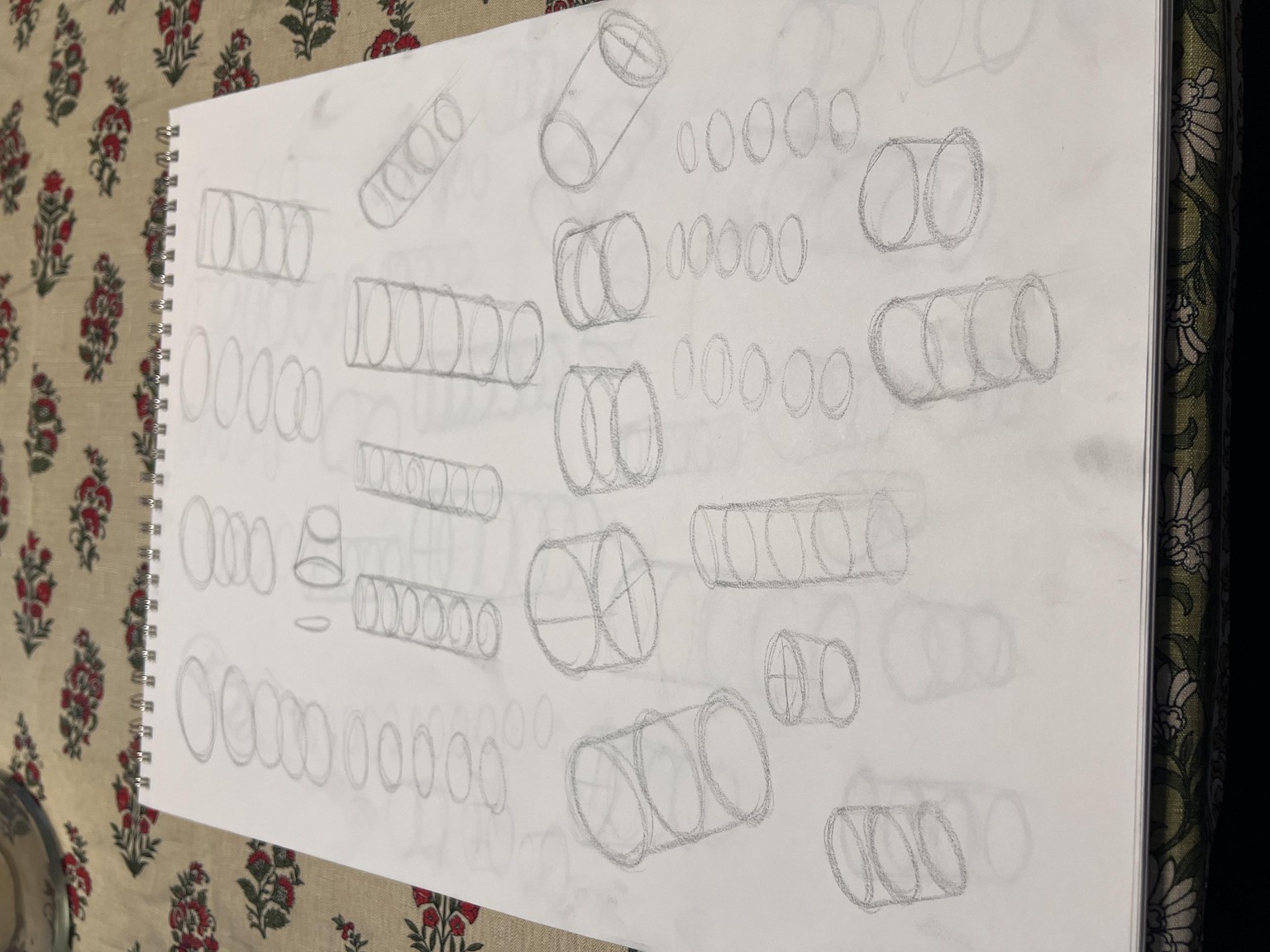 Line, Form, and Shading Practice - image 5 - student project