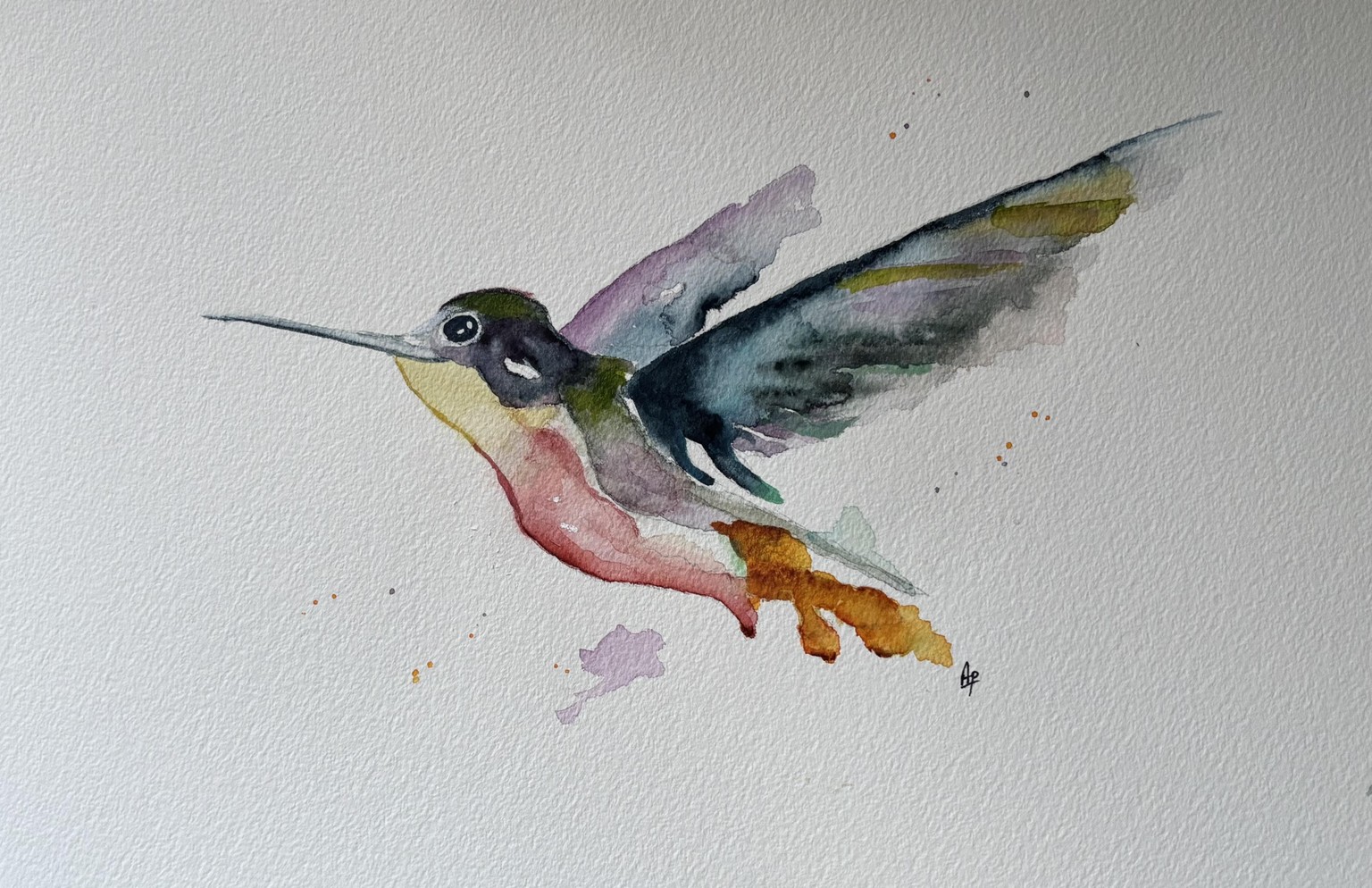 Learn to paint a humming bird with Paul Chaney - image 1 - student project