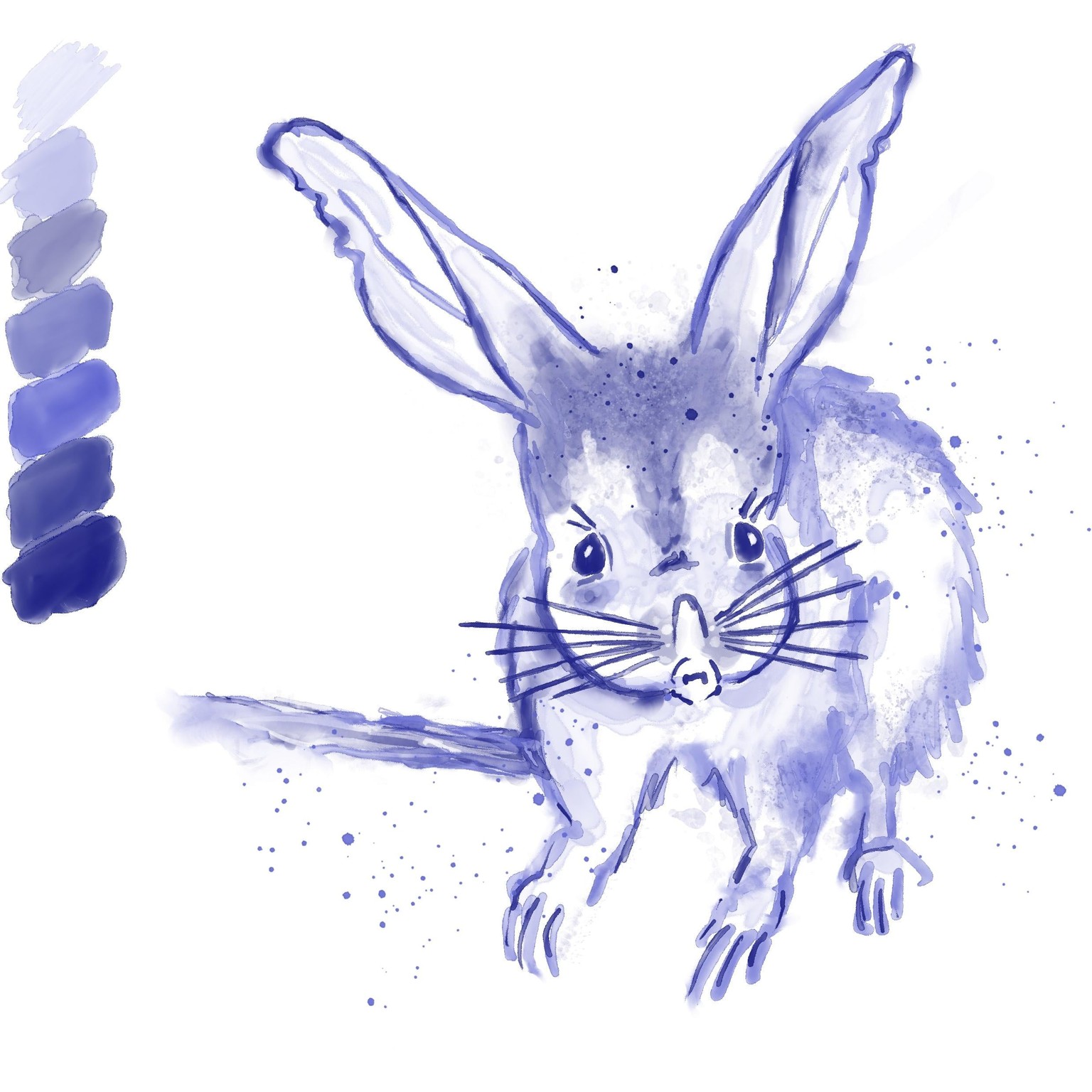 Bilby - image 1 - student project