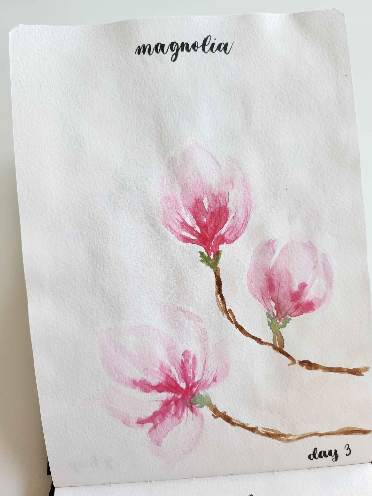 Spring florals - image 3 - student project
