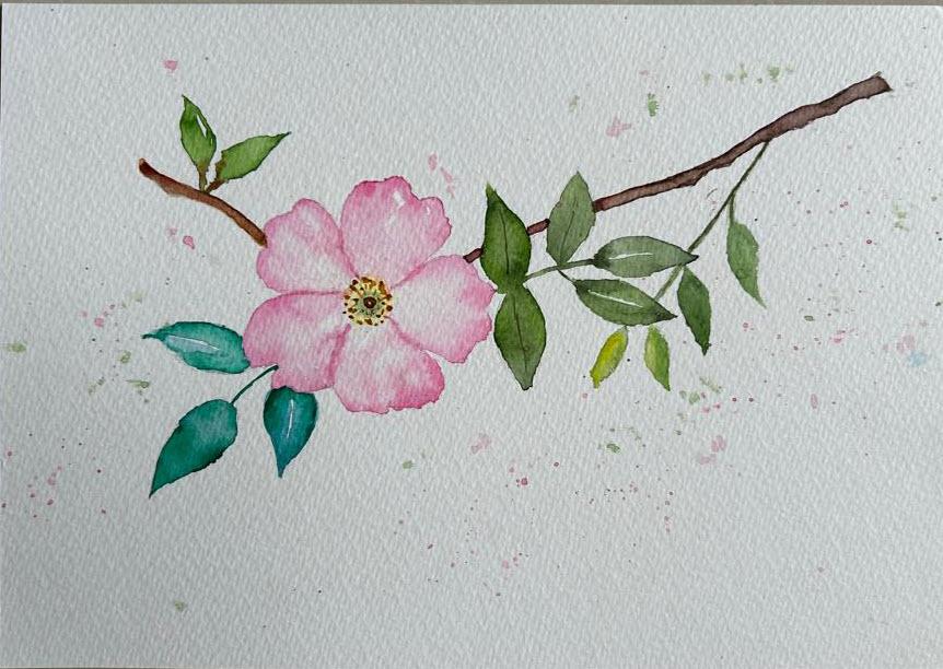 Wildflowers in watercolors - image 3 - student project