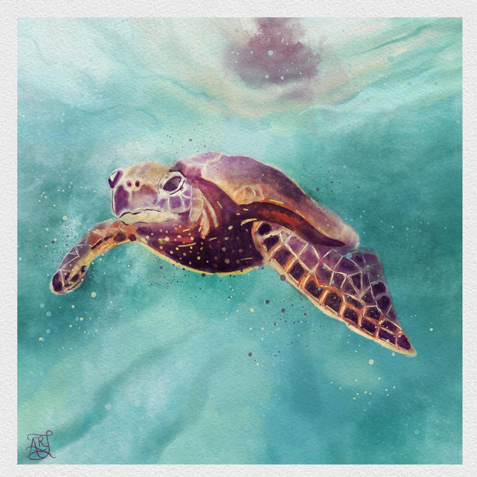 Sea Turtle - image 1 - student project