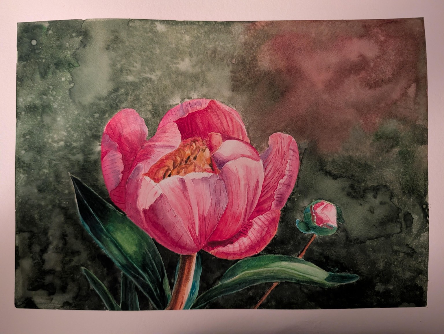 My First Watercolor Flower: Peony - image 2 - student project