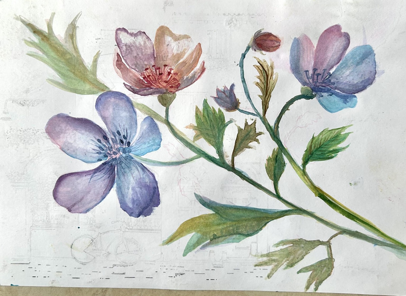 Thank you for the lesson - image 1 - student project