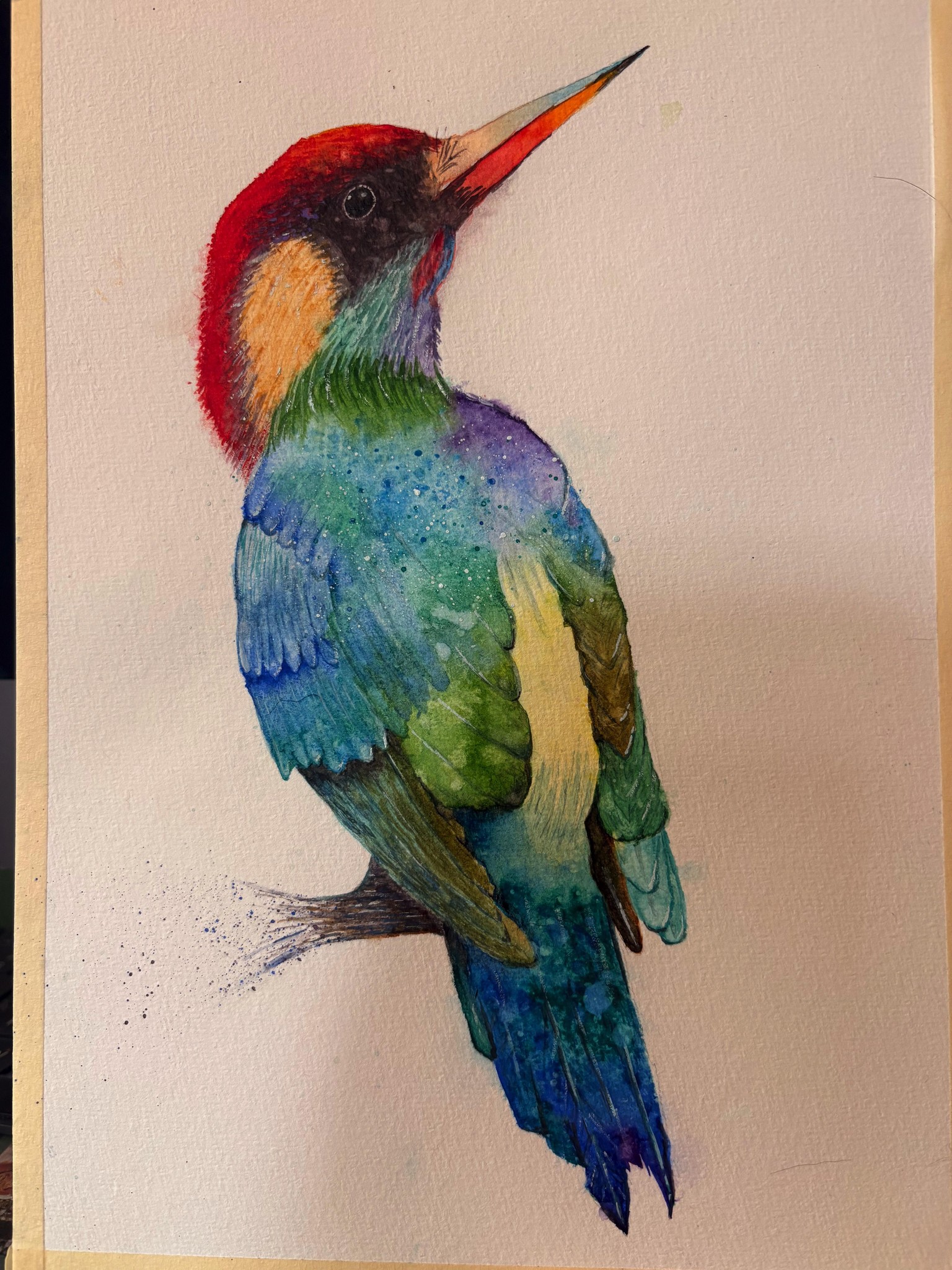 Watercolour Woodpecker - image 1 - student project