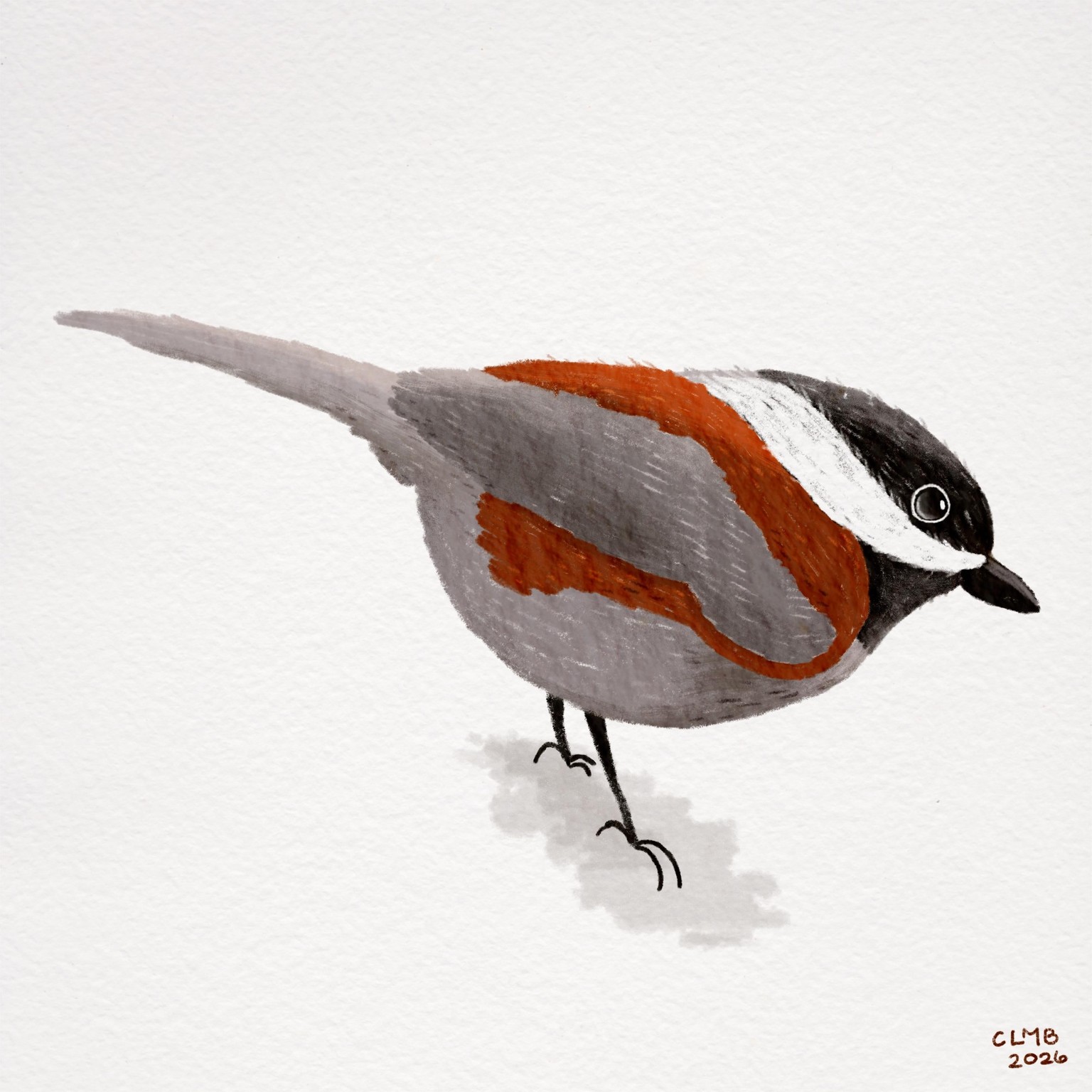Stylized birds - image 2 - student project