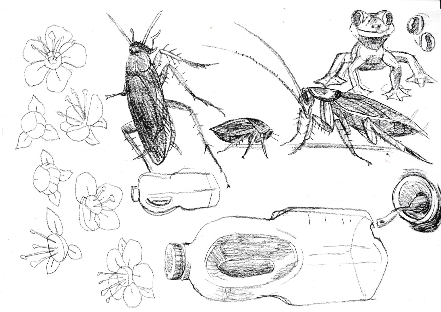Wild in Hong Kong - image 3 - student project