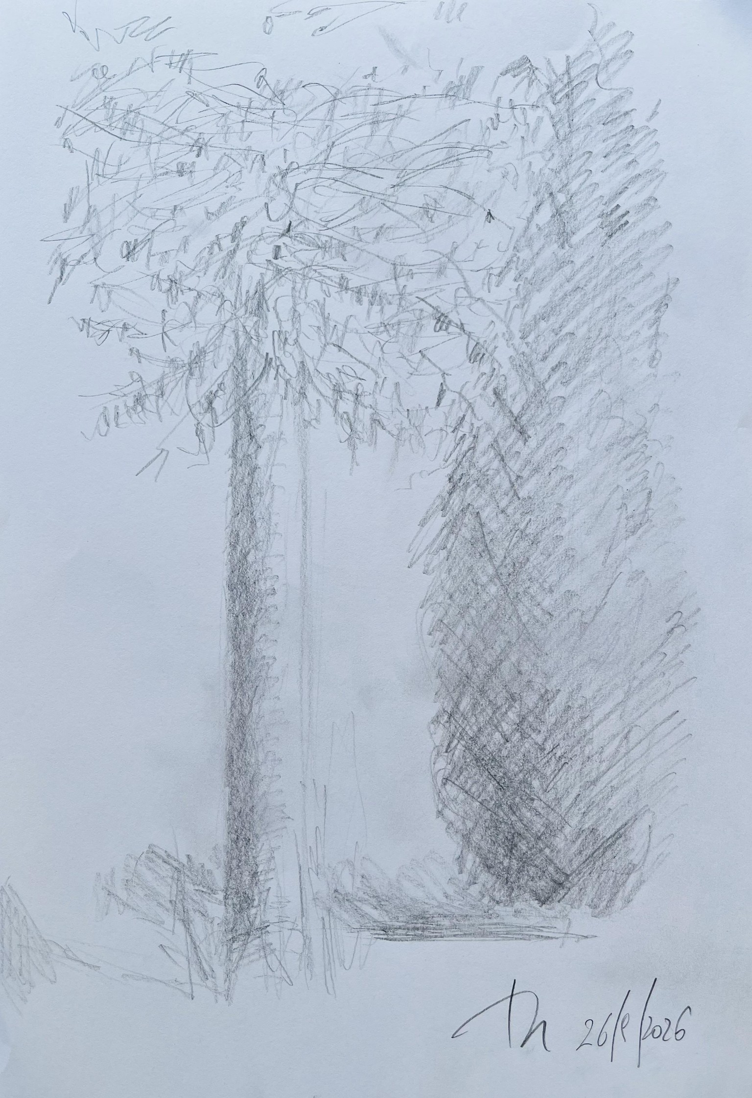 Lasciamo il segno - image 8 - student project