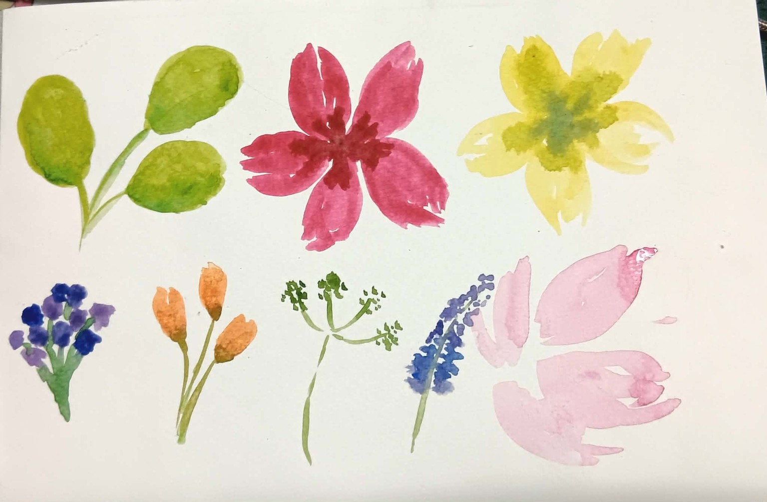 From Blobs to Blooms - image 2 - student project