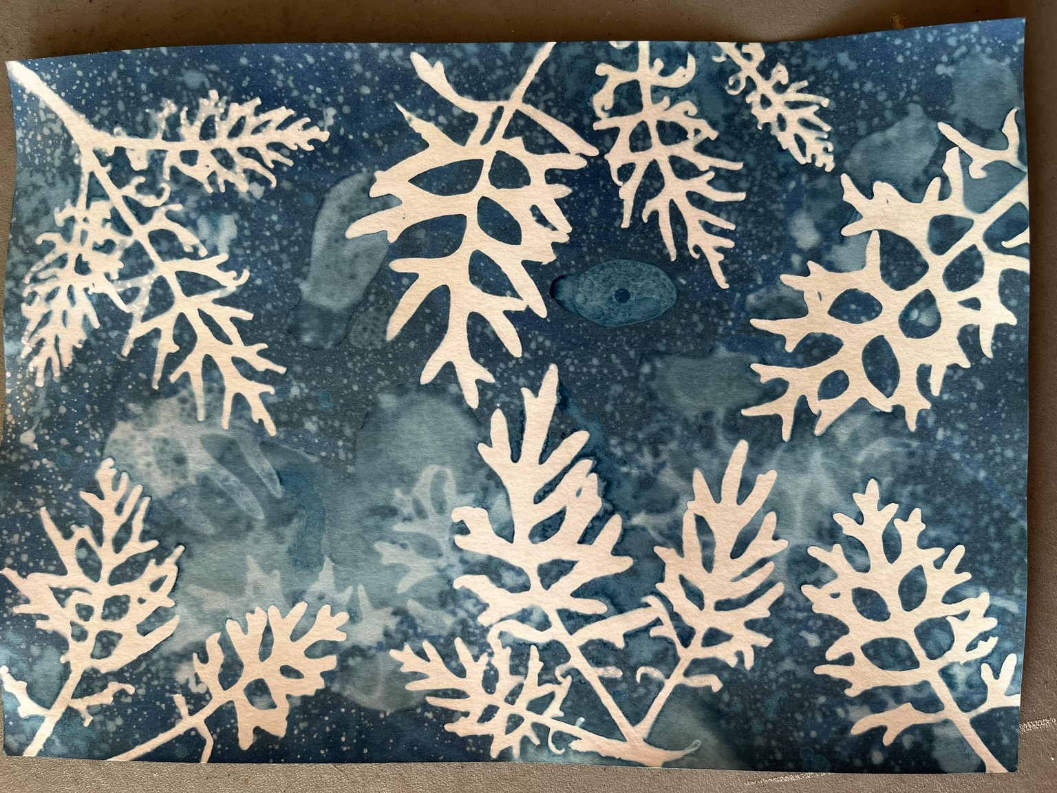Wet Cyanotype play - image 2 - student project