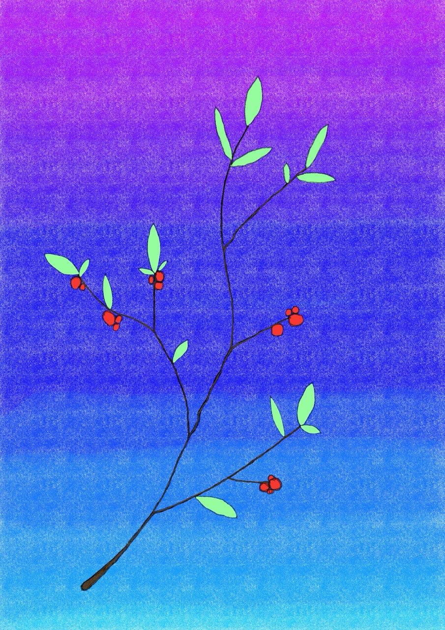 Procreate Class - image 4 - student project