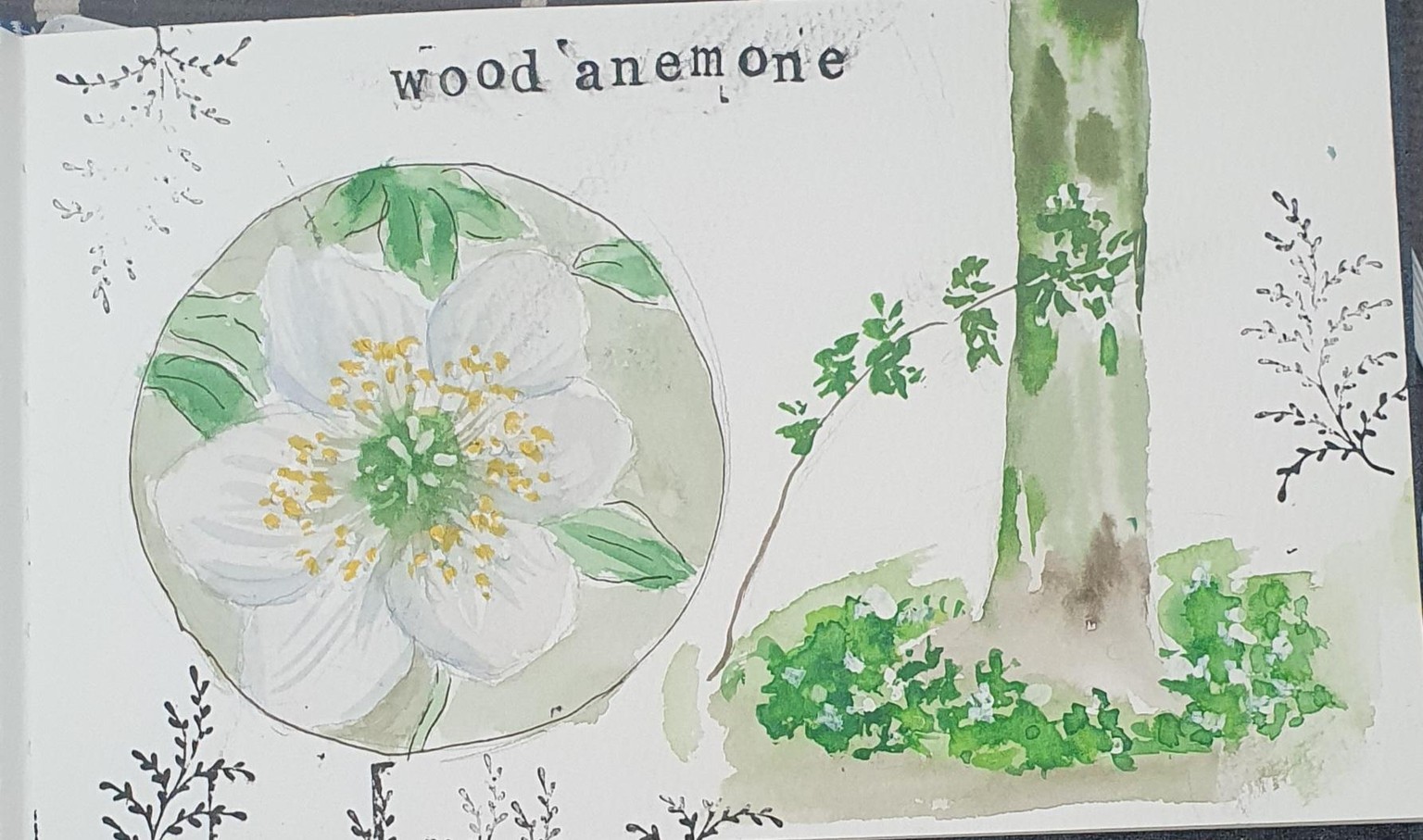 Nature journaling :))) - image 3 - student project
