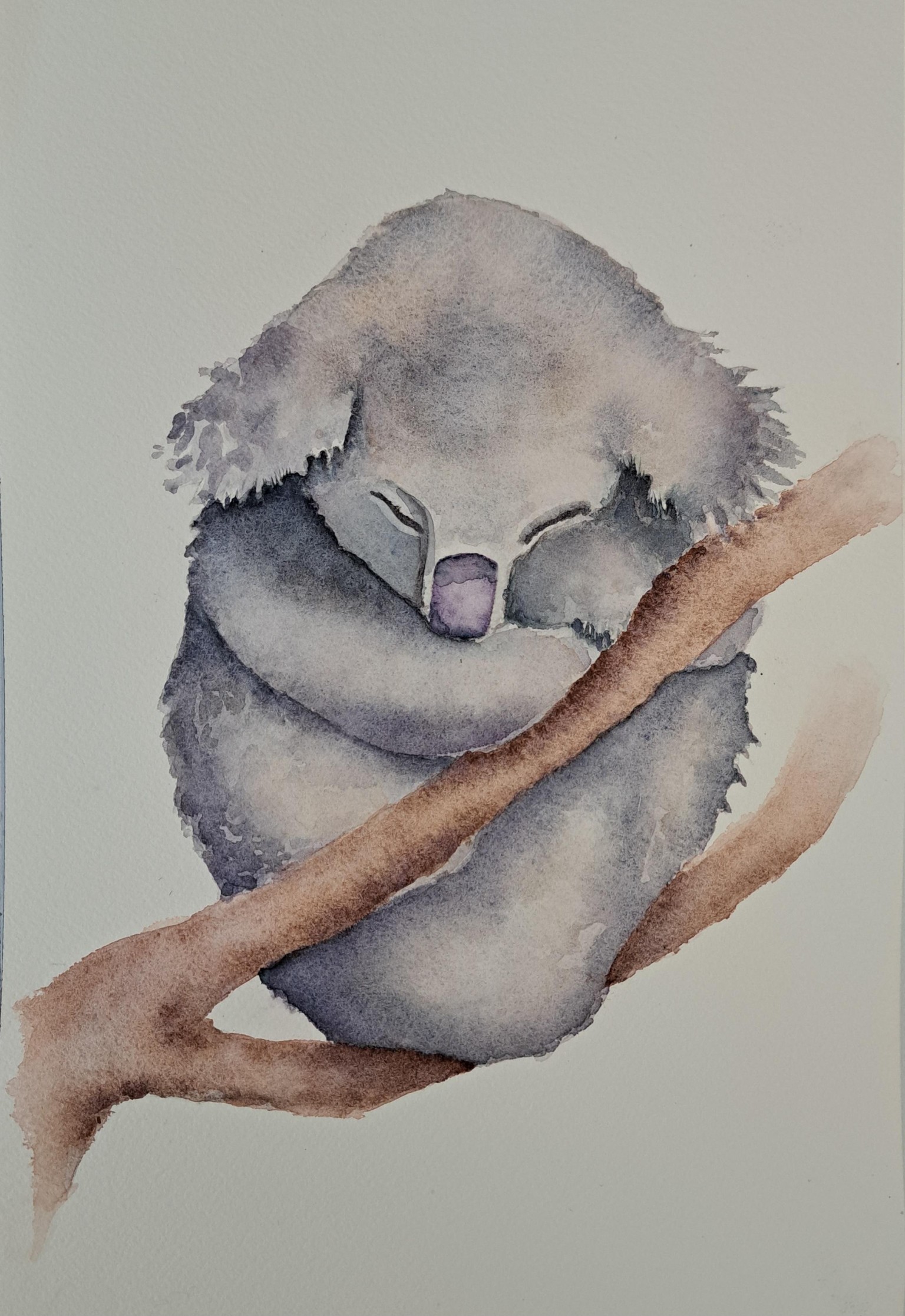 Koala - image 1 - student project