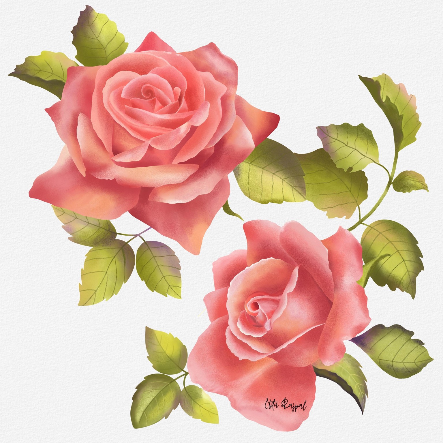 Painterly Roses - image 1 - student project