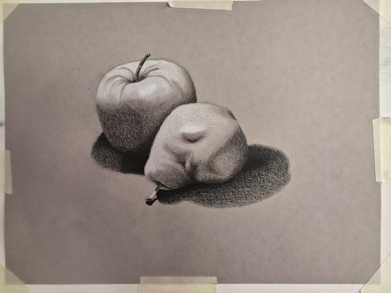 Exercises + Final Project - image 2 - student project