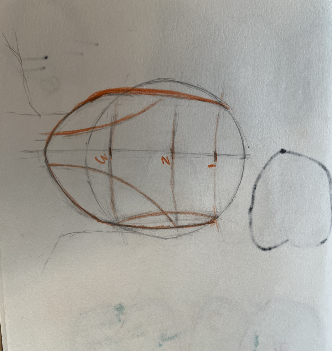 7 Loomis heads - image 2 - student project