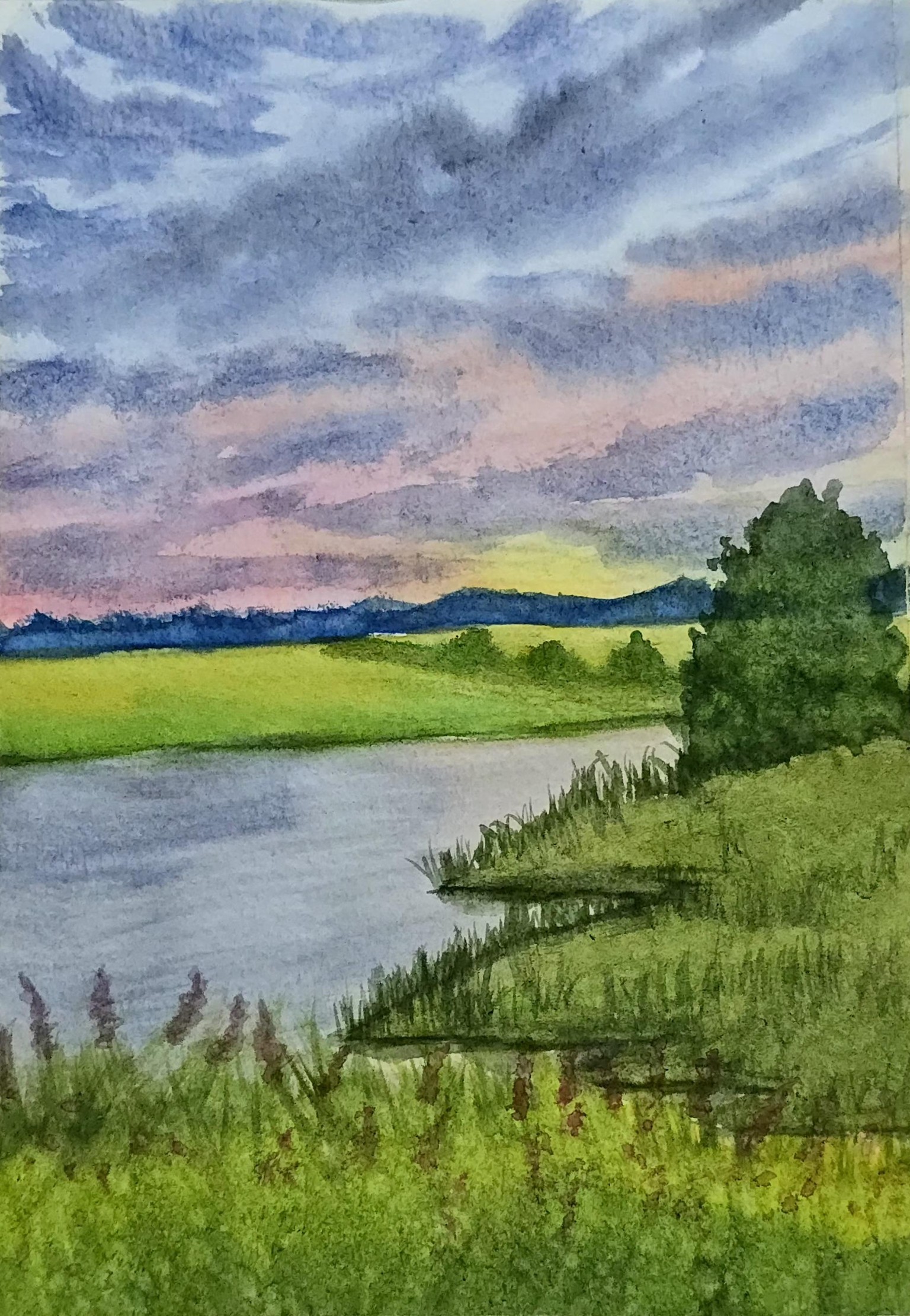 Landscape - image 1 - student project