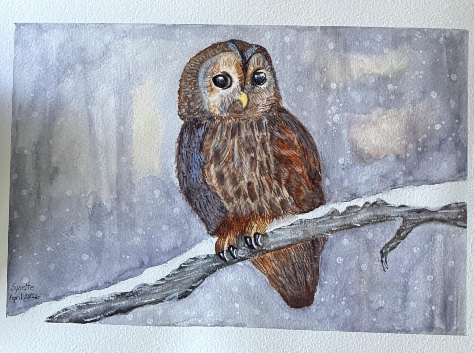 Winter Owl - image 1 - student project