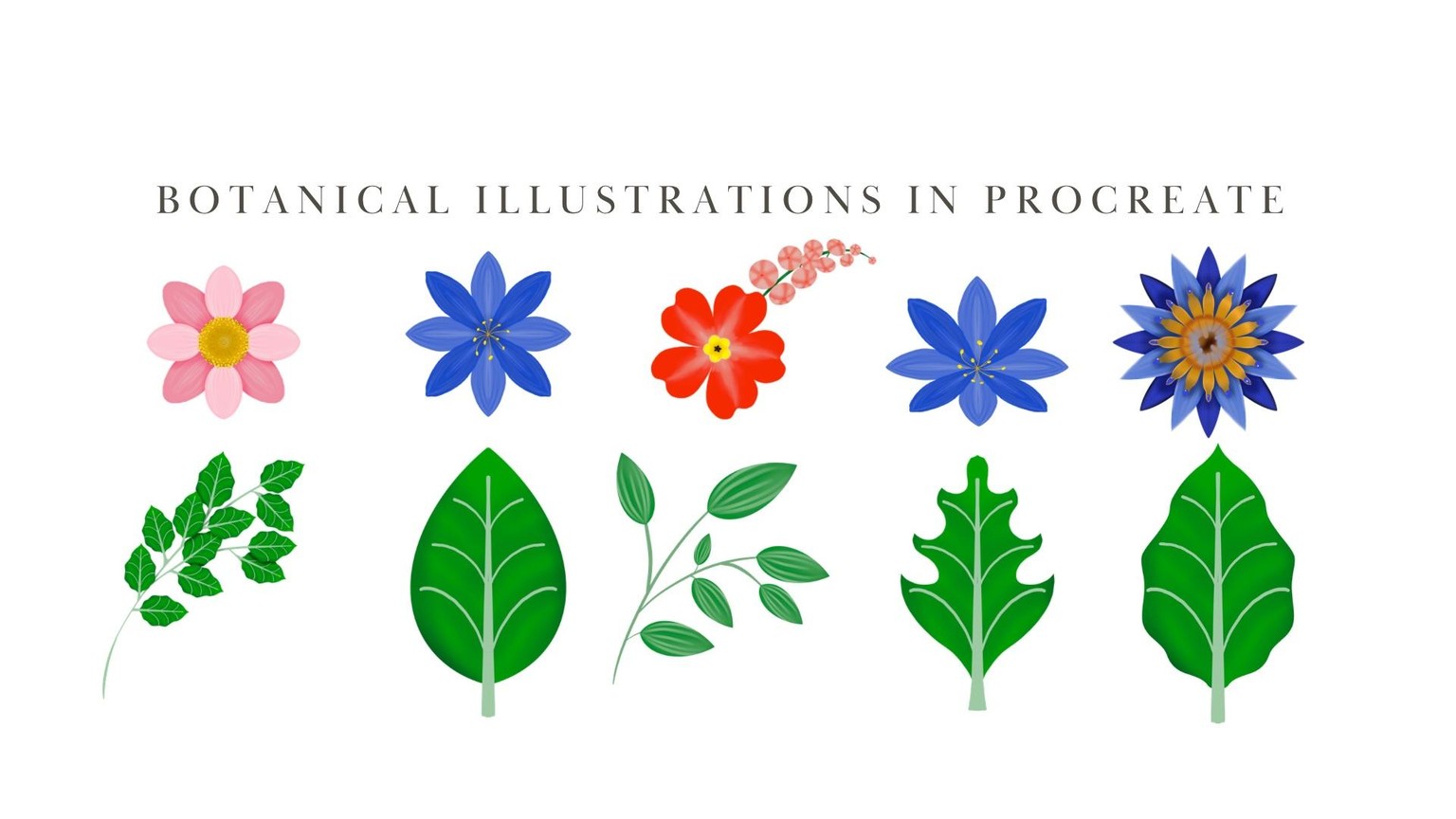 Flowers and more flowers - image 2 - student project