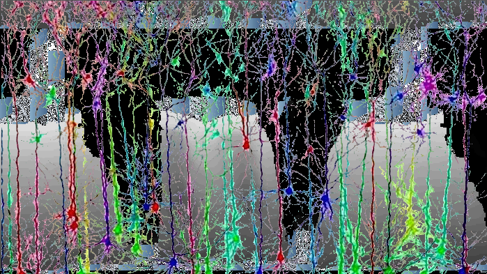 d - image 1 - student project