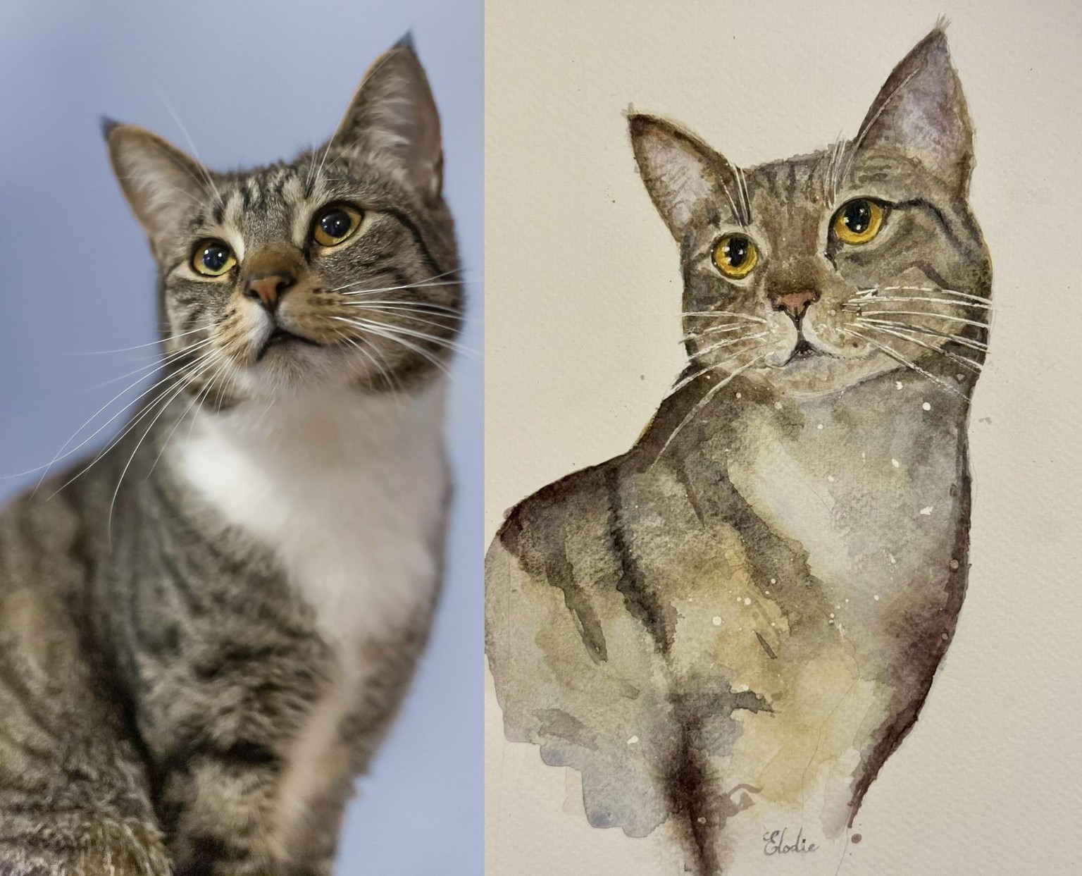 Cat 🐈 I did not have the colors you used and I used student paper (not cotton) - image 1 - student project