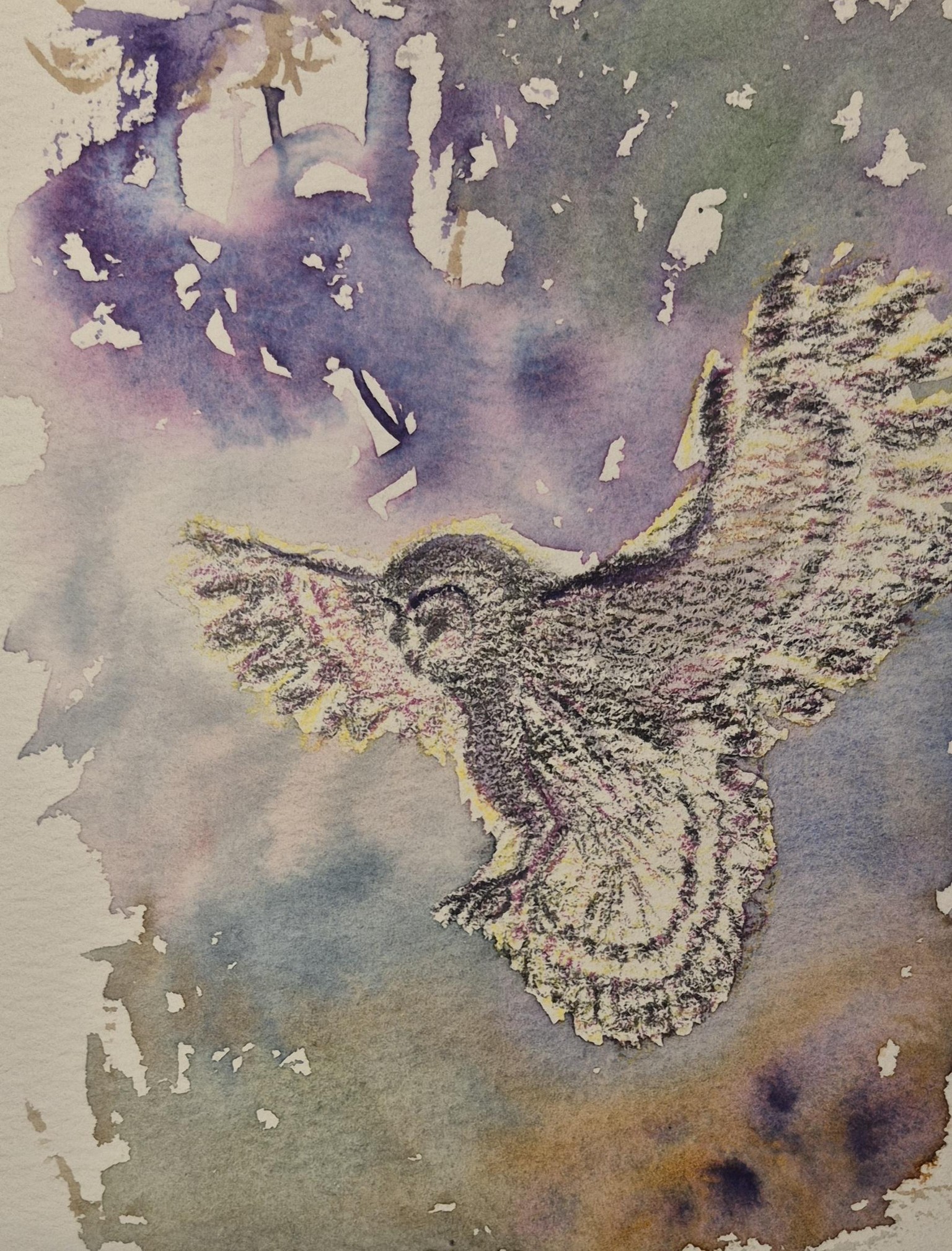 7 Days of Owls Sketchbook Challenge: Ink, Watercolor & Procreate Techniques to Level Up Your Art - image 4 - student project