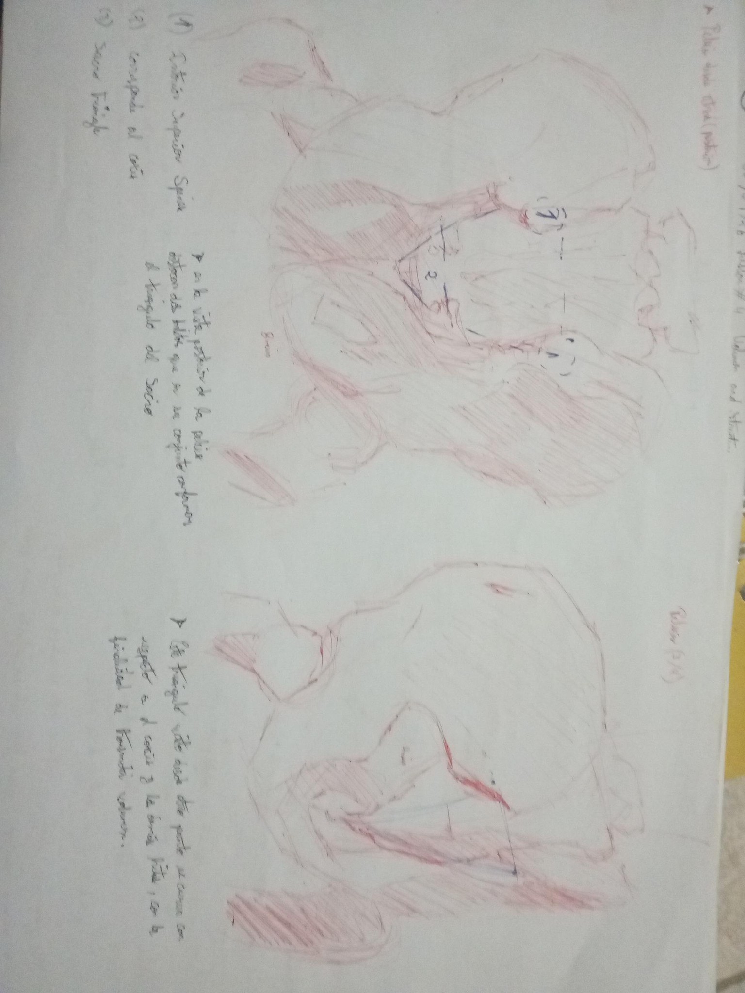Volumen and structure - image 8 - student project