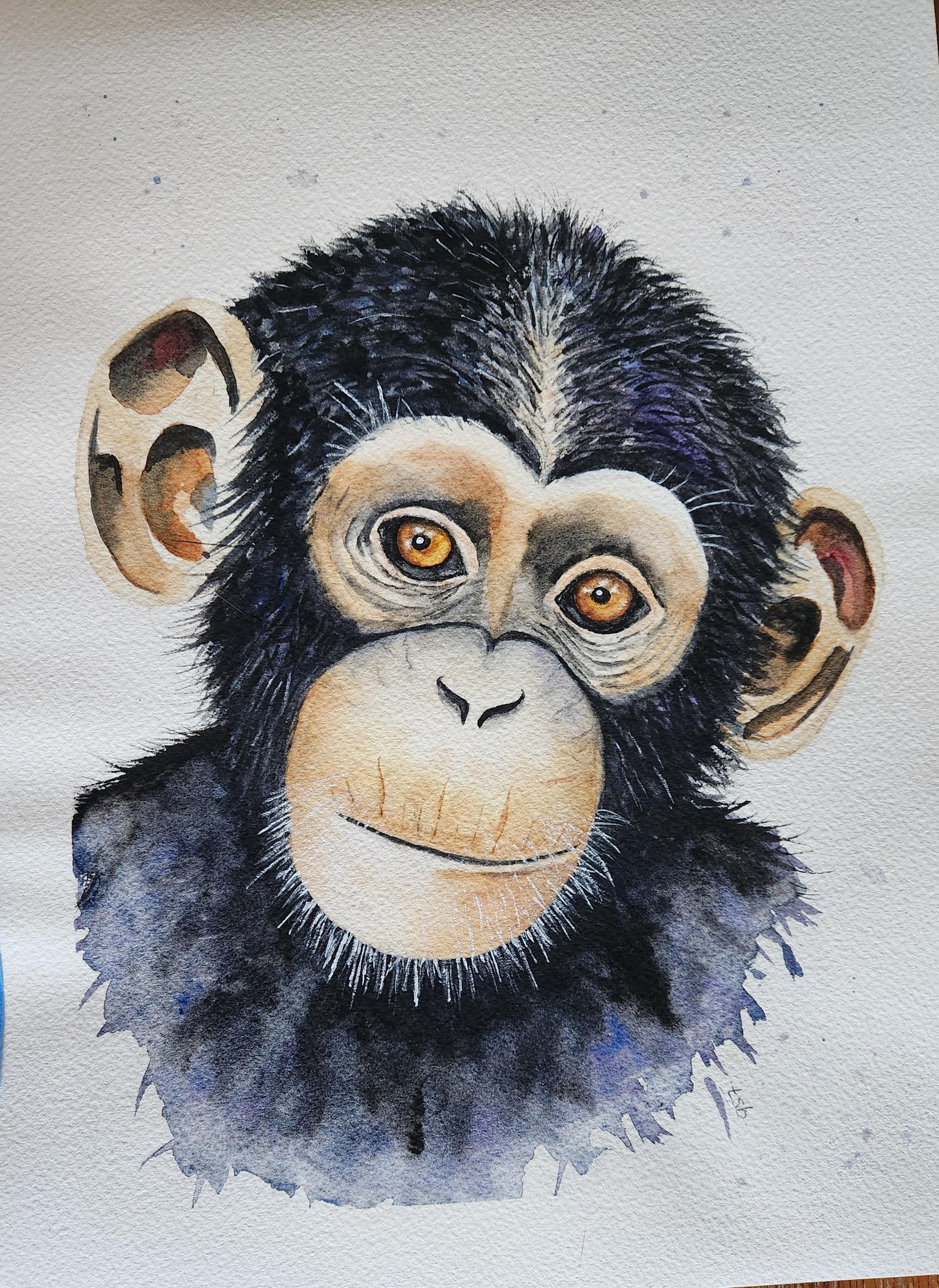 Charley - image 2 - student project